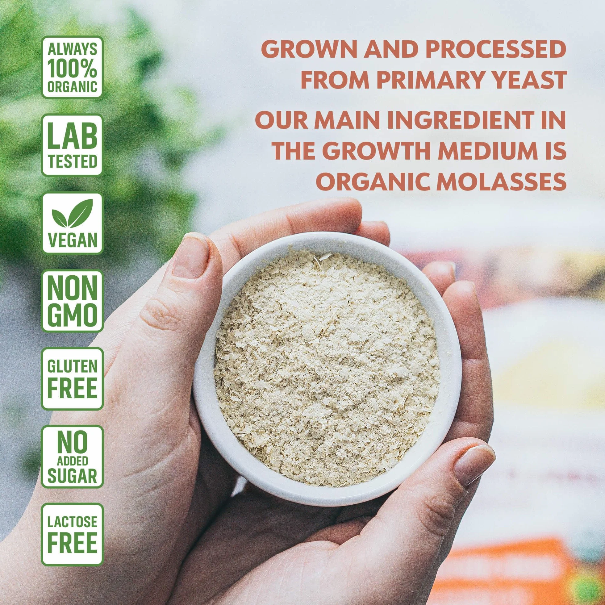 LOOV Organiczne niewzbogacone odżywcze płatki drożdżowe, prażone niewzbogacone, wegańskie, bez GMO, bezglutenowe, dobre źródło witamin z grupy B, bez dodatku witamin, zamykana torba, 227 gramów