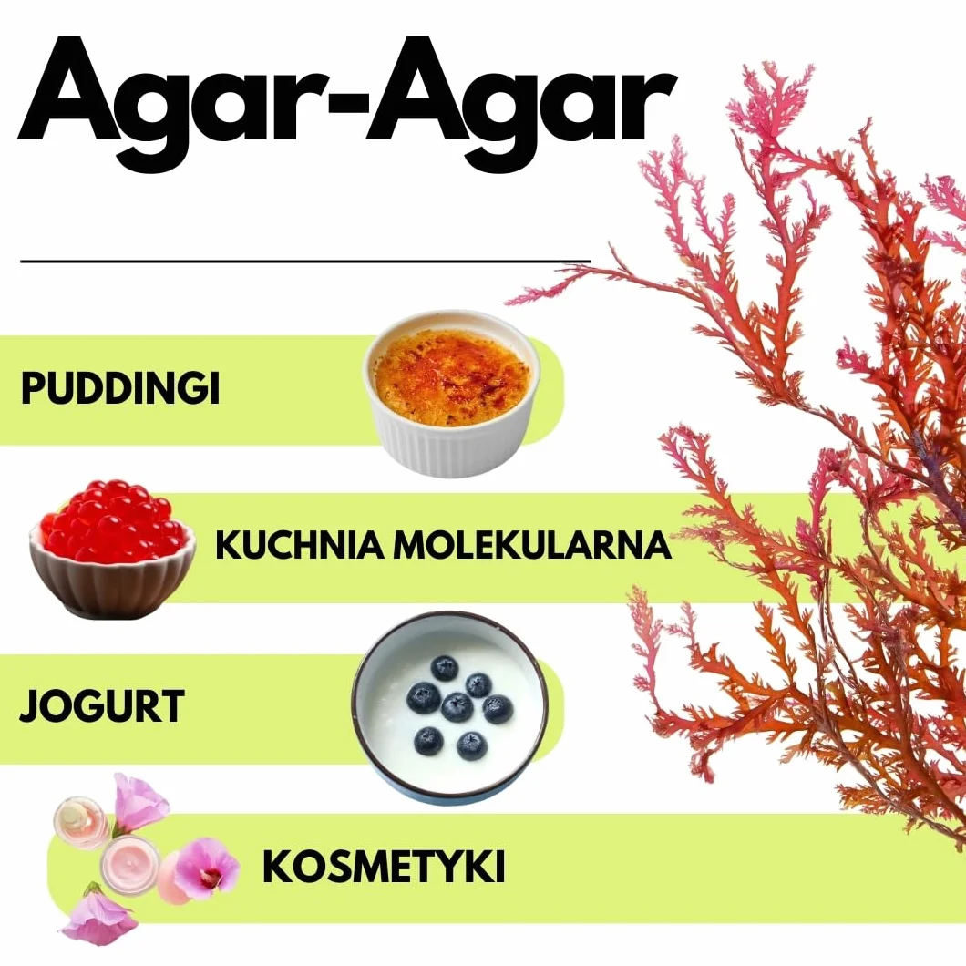 SaporePuro Agar Agar w proszku 1 kg – Naturalny środek żelujący bez glutenu