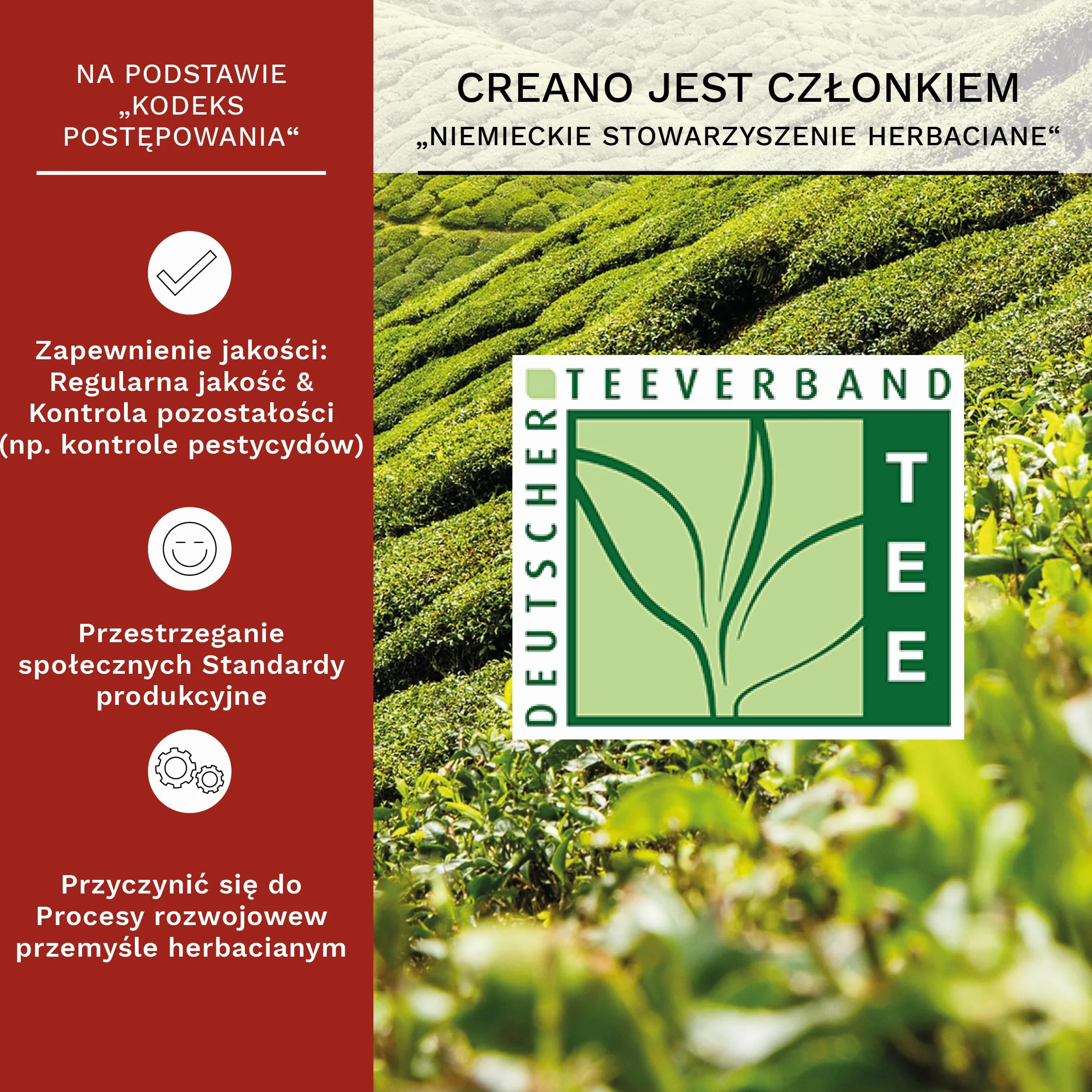 Creano Kwitnąca herbata zestaw upominkowy szklany czajniczek 500 ml
