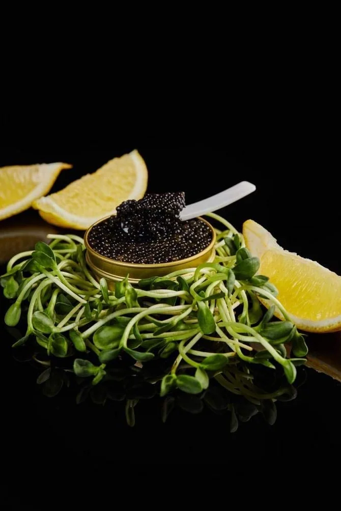 TSARINE Caviar Kawior z Jesiotra Syberyjskiego Czarny Kawior Malossol Delikatny Smak 250g