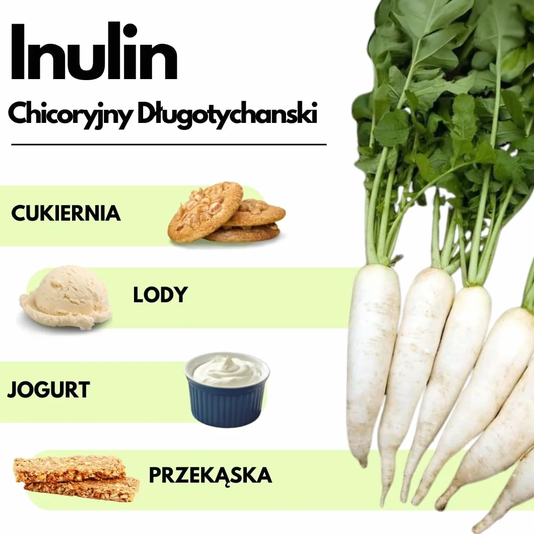 SaporePuro INULINA w proszku - 1000 gr - DŁUGI ŁAŃCUCH - Prebiotyczny błonnik roślinny z korzeni cykorii