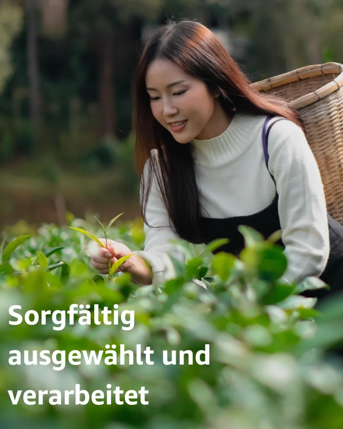 Gourmet kalendarz adwentowy z herbatą z Francji 24+1 herbaty