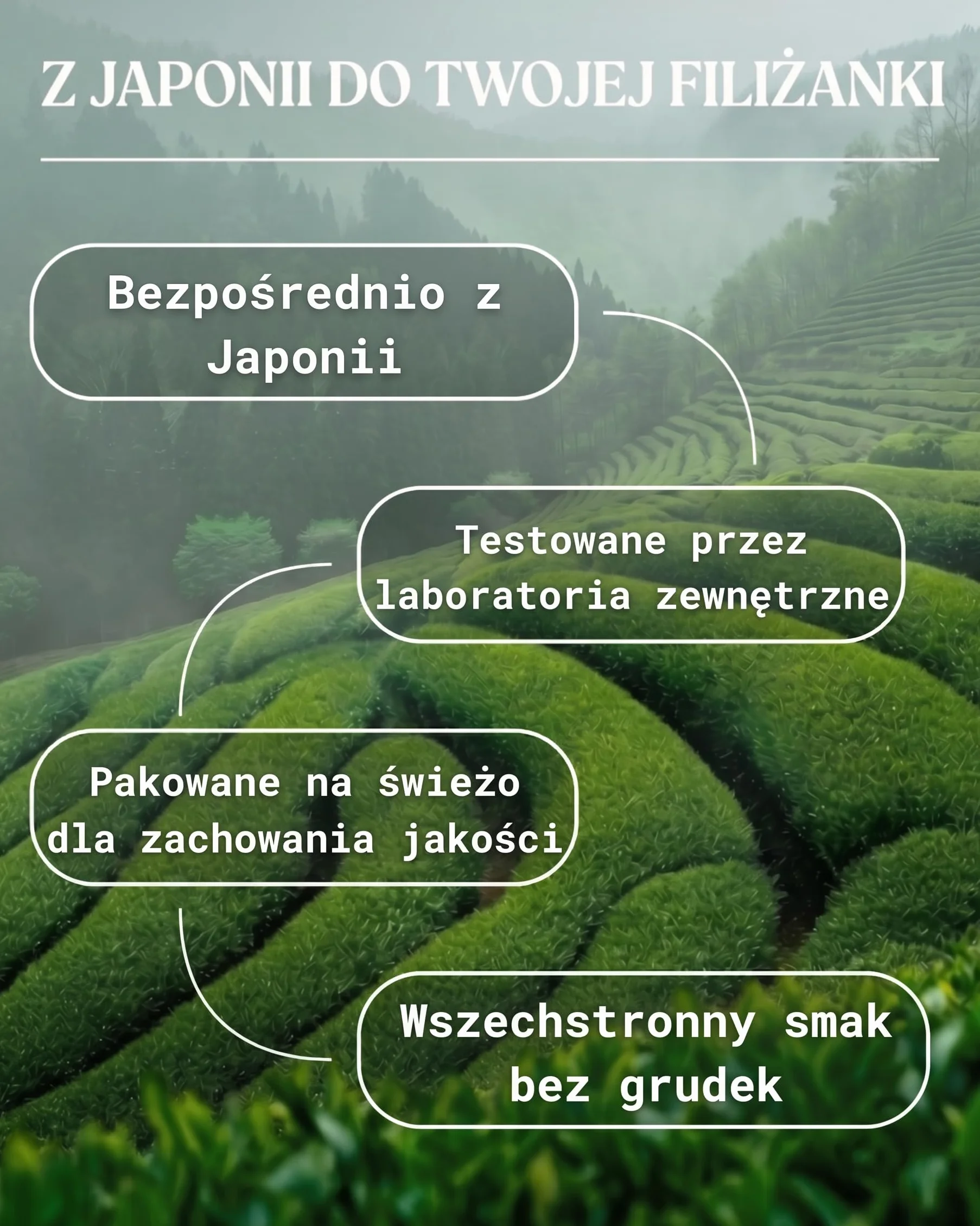 NaturaleBio Premium Matcha w Proszku 200g - Organiczna Japońska Zielona Herbata Matcha USDA - Wegańska do Latte, Smoothie i Wypieków