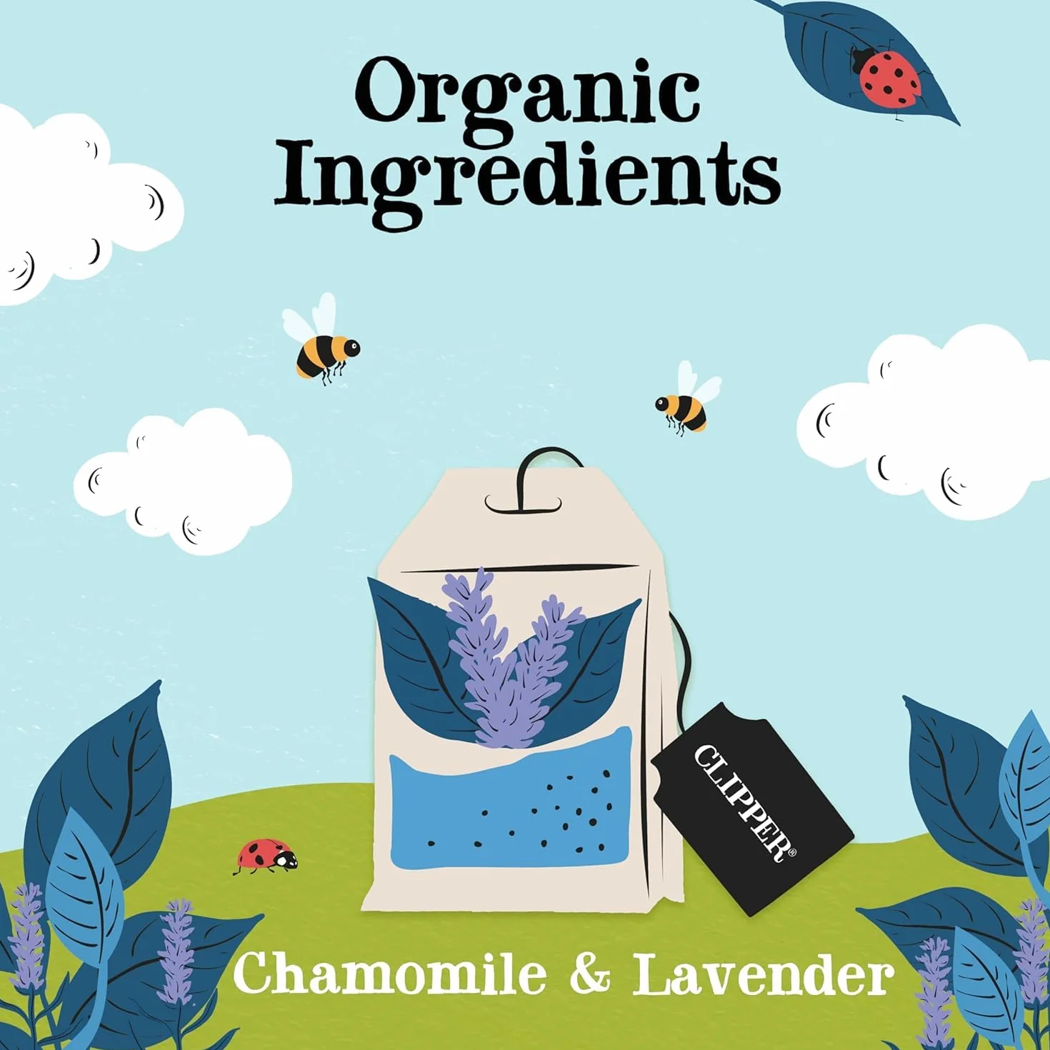Snore & Peace - Org Chamomile, Lemon Balm & Lavender - R - 20env