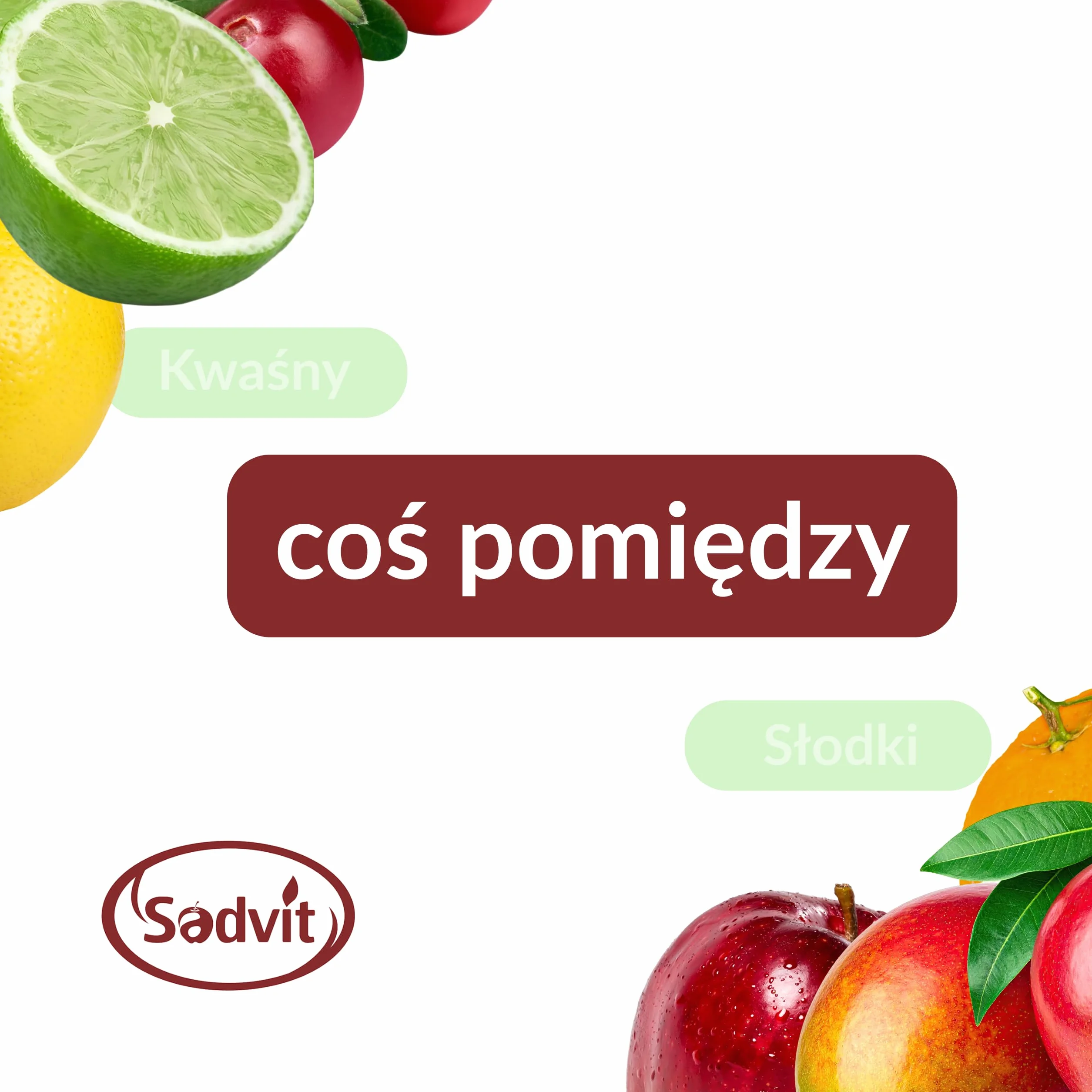 Sadvit | Ekologiczny Sok z Aronii BIO nie z koncentratu | 1,5L Bag in Box Sok owocowy NFC | Tłoczony Cierpki Intensywny | Naturalne Witaminy | Bez Cukru Konserwantów i Dodatku Wody | Polskie Owoce