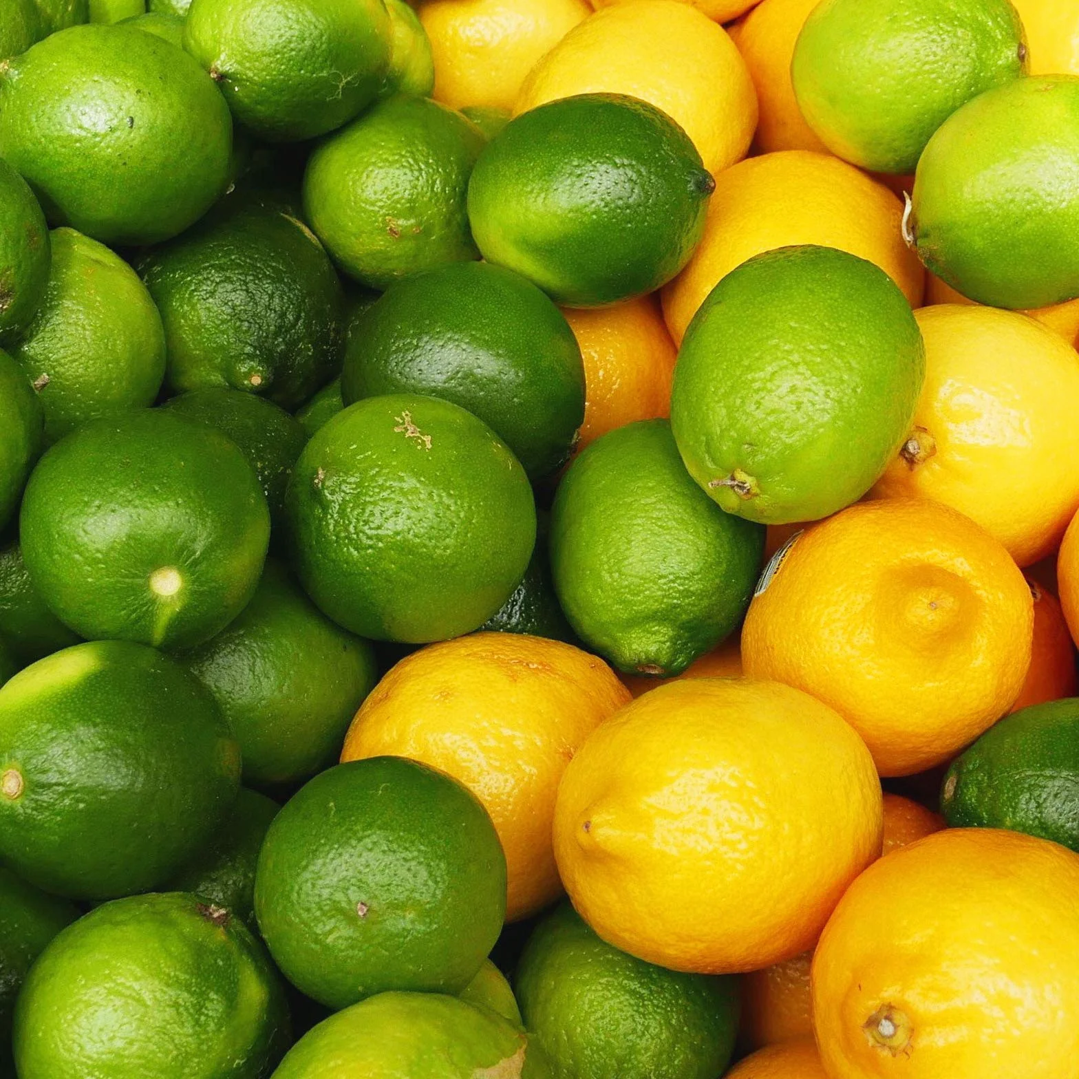 2 Pack - FruttaMax - Koncentrat Syropu Owocowego | Mniej cukru | z 60% zawartością owoców | Nadaje się do automatu sodowego (2 x 500 ml) (2 x Cytryna-Limonka)