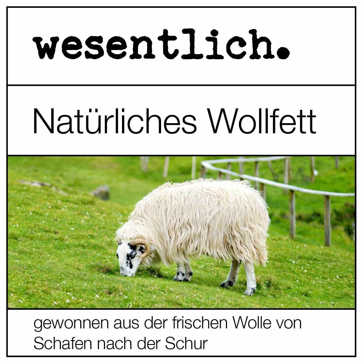 Lanolin Wollfett anhydrat 500g - wasserfrei und kaum Geruch - Wollwachs von wesentlich.