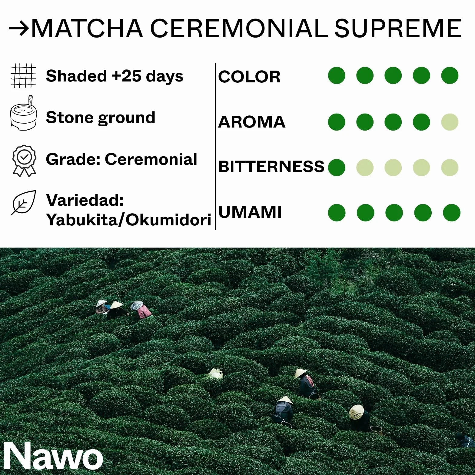 Nawo Matcha Ceremonial Supreme 30g Ekologiczna Zielona Herbata w Proszku z Japonii