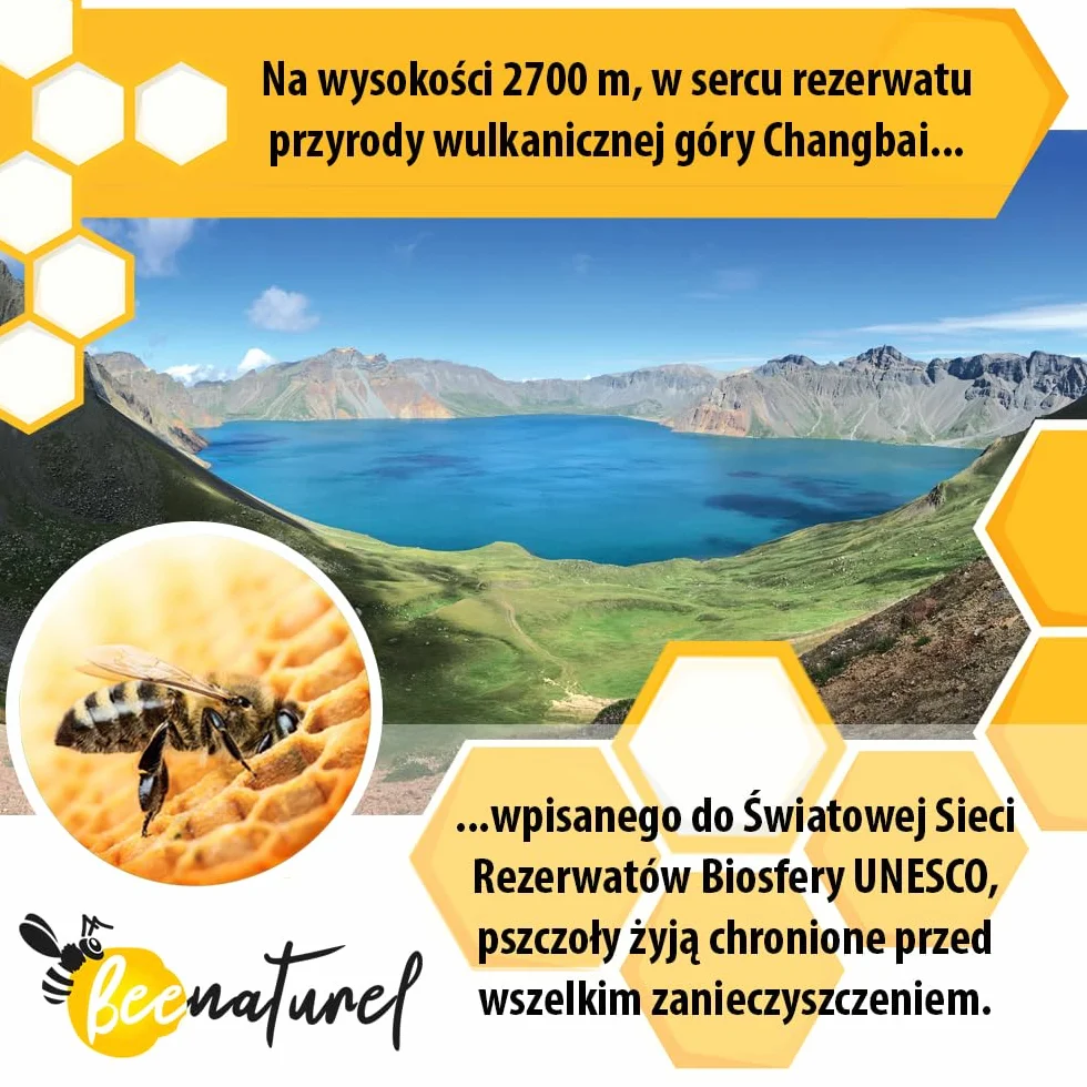 Organiczne mleczko pszczele 120 kapsułek 1g | Program zimowy 4 miesiące | Odporność dorosłych dzieci | 100% naturalny