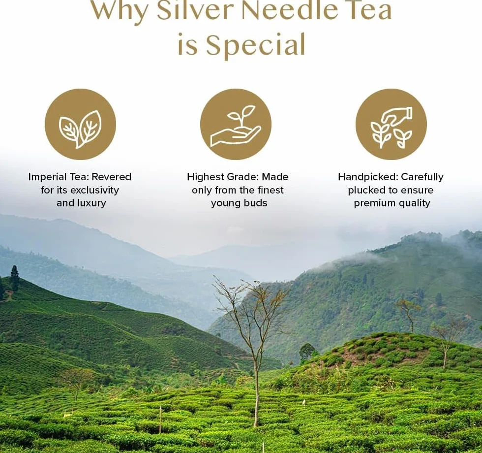 VAHDAM Silver Needle lisci bialej herbaty Loose (25 Cups) | Najzdrowsze herbaty, 100% Natural White Tea Leaves | Potezne antyutleniacze, kofeina Darmowe | Brew jak goraca herbata, Iced Tea lub herbata Kombucha | 50gm