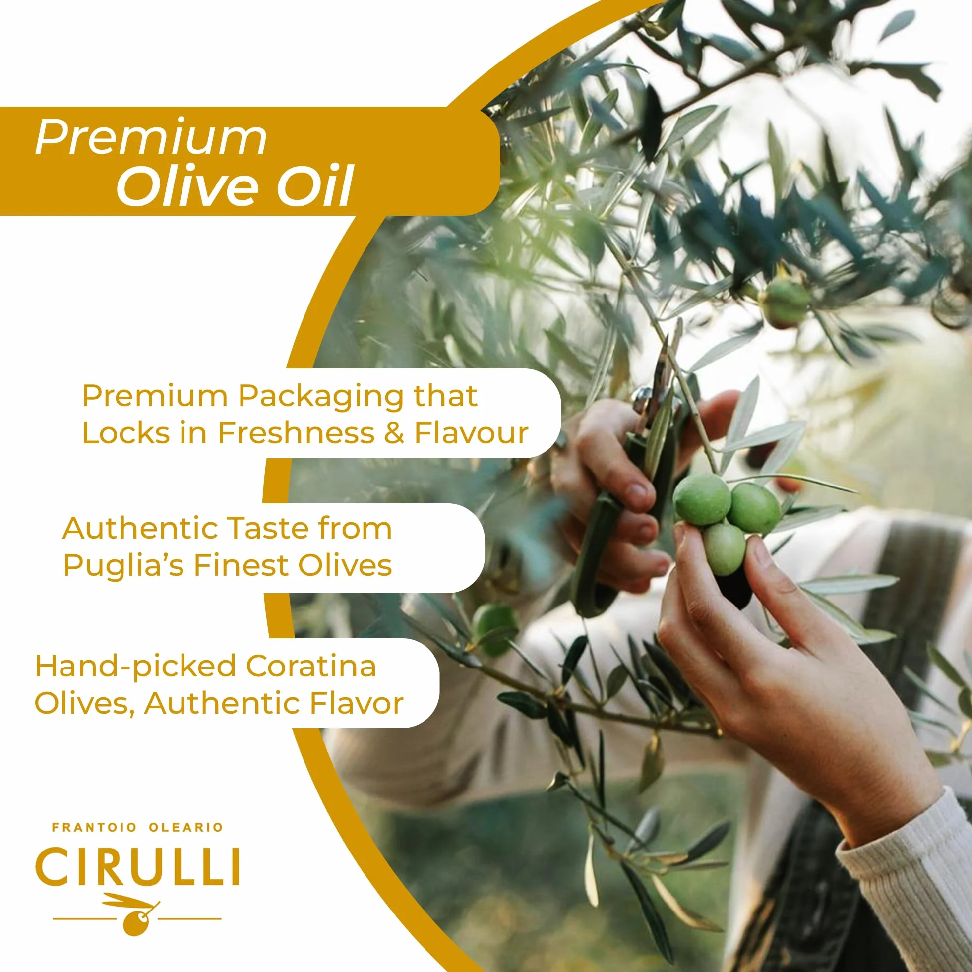 Olio Extravergine di Oliva Pugliese 5 L