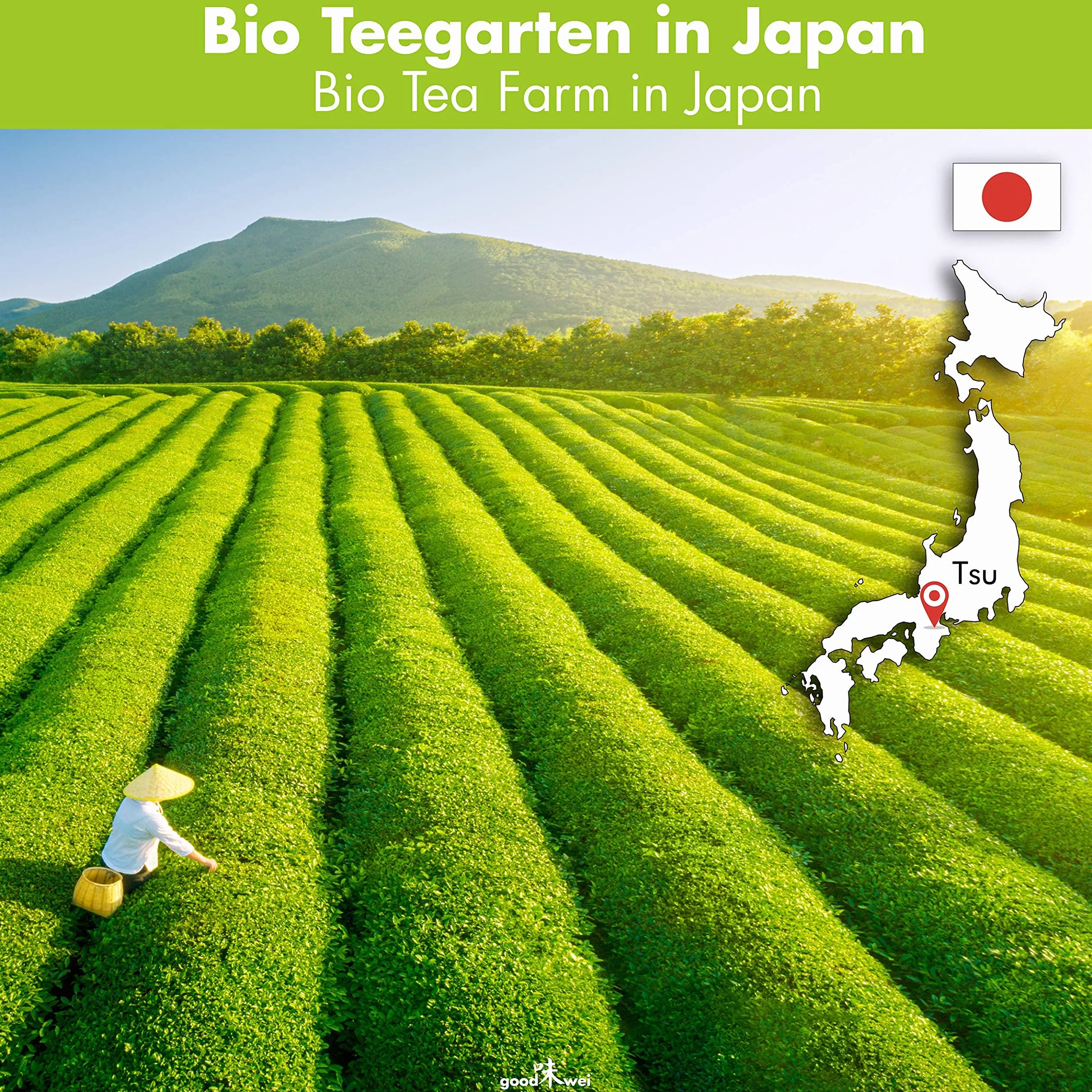 Goodwei BIO Matcha z Japonii zestaw do matchy ceramiczna miotła matcha uchwyt