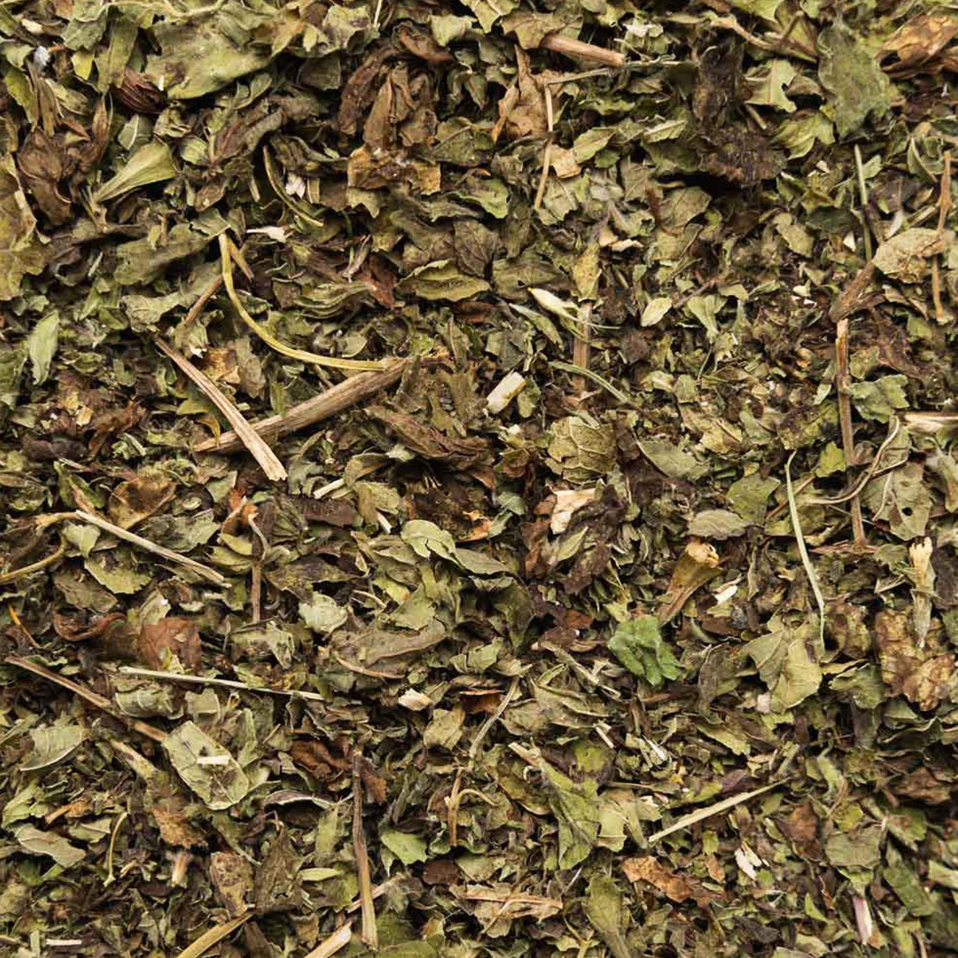 Biotiva Melisse Herbata Bio 100 g – Melissa officinalis – suszona liście melisy – herbata ziołowa – wegańska – bez dodatków – butelkowana i certyfikowana w Niemczech (DE-Öko-005)