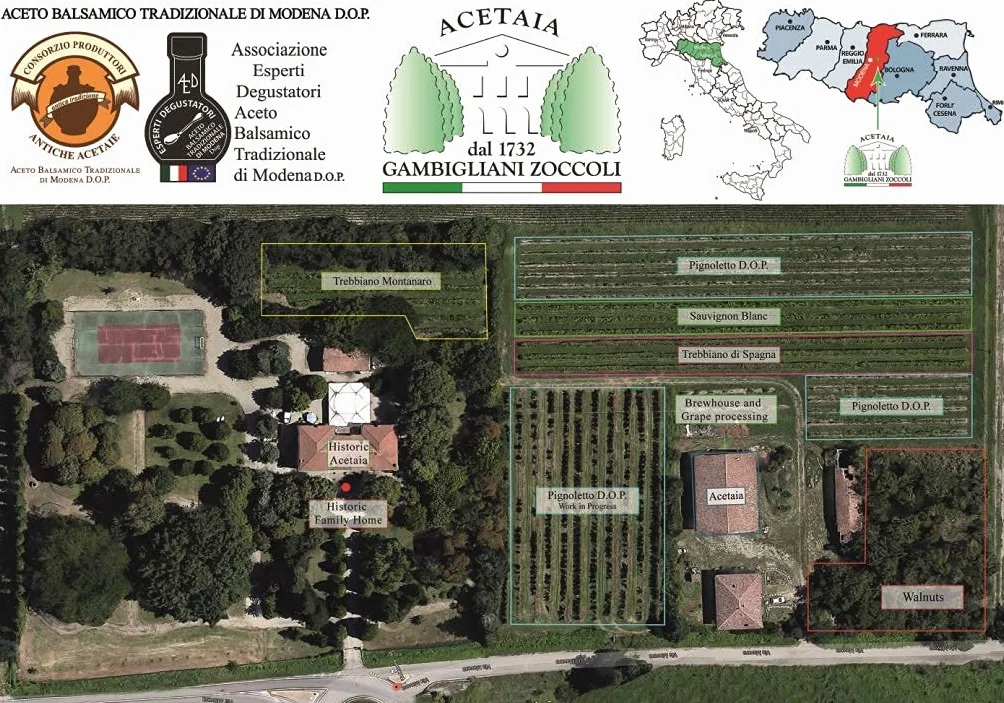 Acetaia Gambigliani Zoccoli Ocet Balsamiczny z Modeny D.O.P. EKSTRA STARY 25 lat
