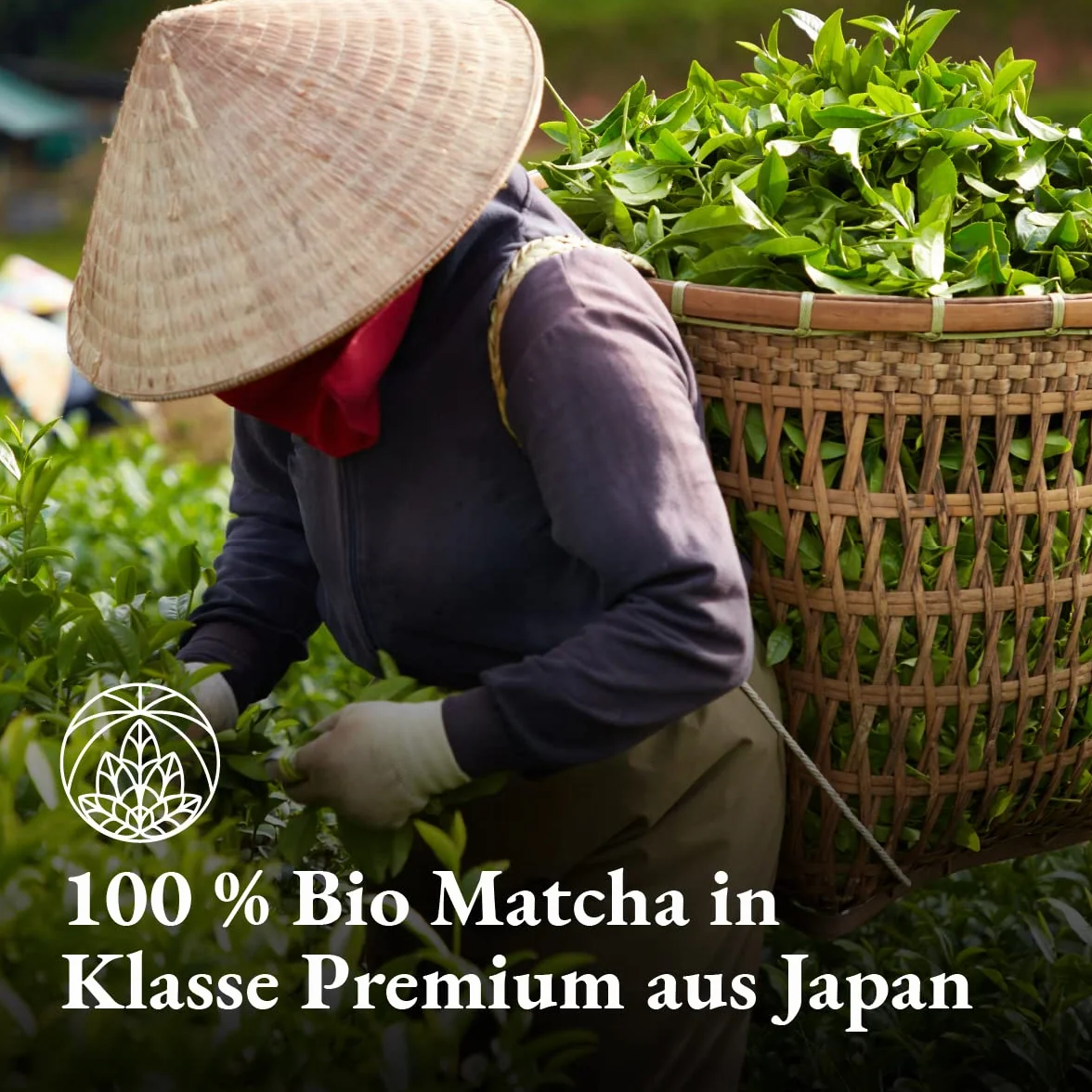 Bio matcha w proszku Monte Nativo (100 g) – herbata matcha do latte – zielona herbata premium – 100% naturalna i bez dodatków