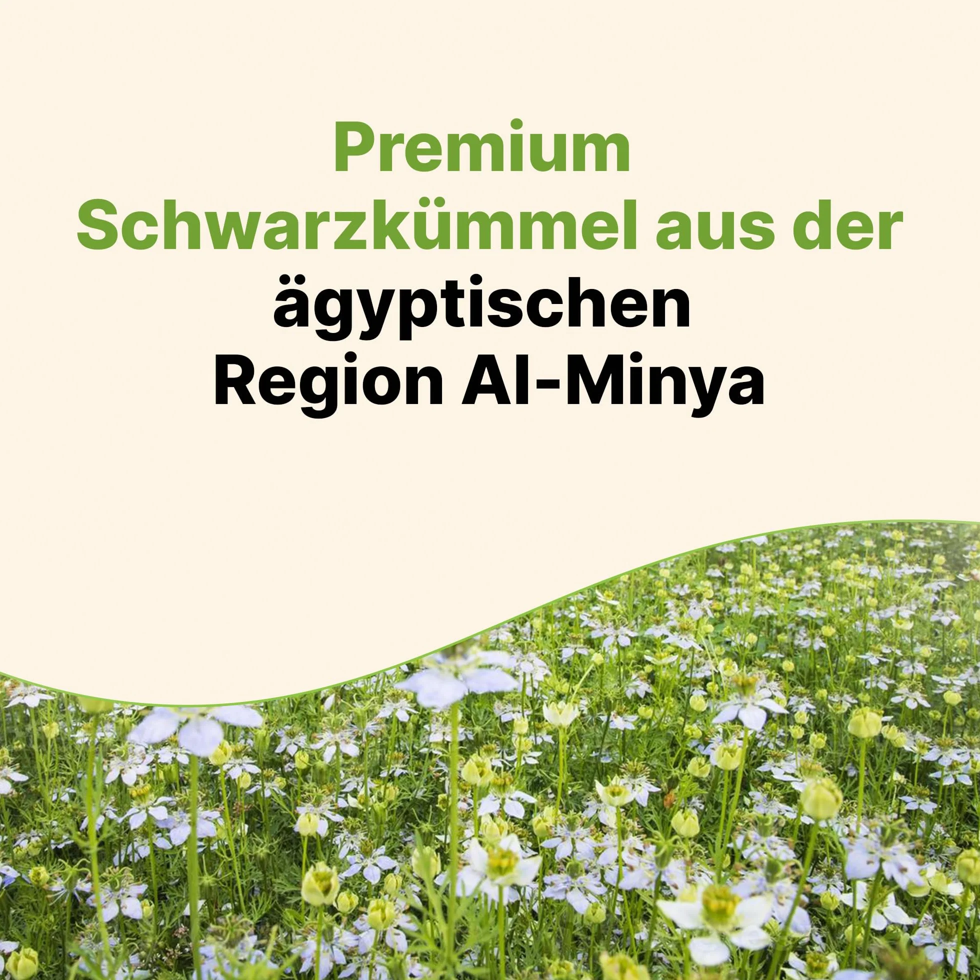 Olejek z czarnuszki Bio tłoczony na zimno 100% Nigella sativa z Egiptu