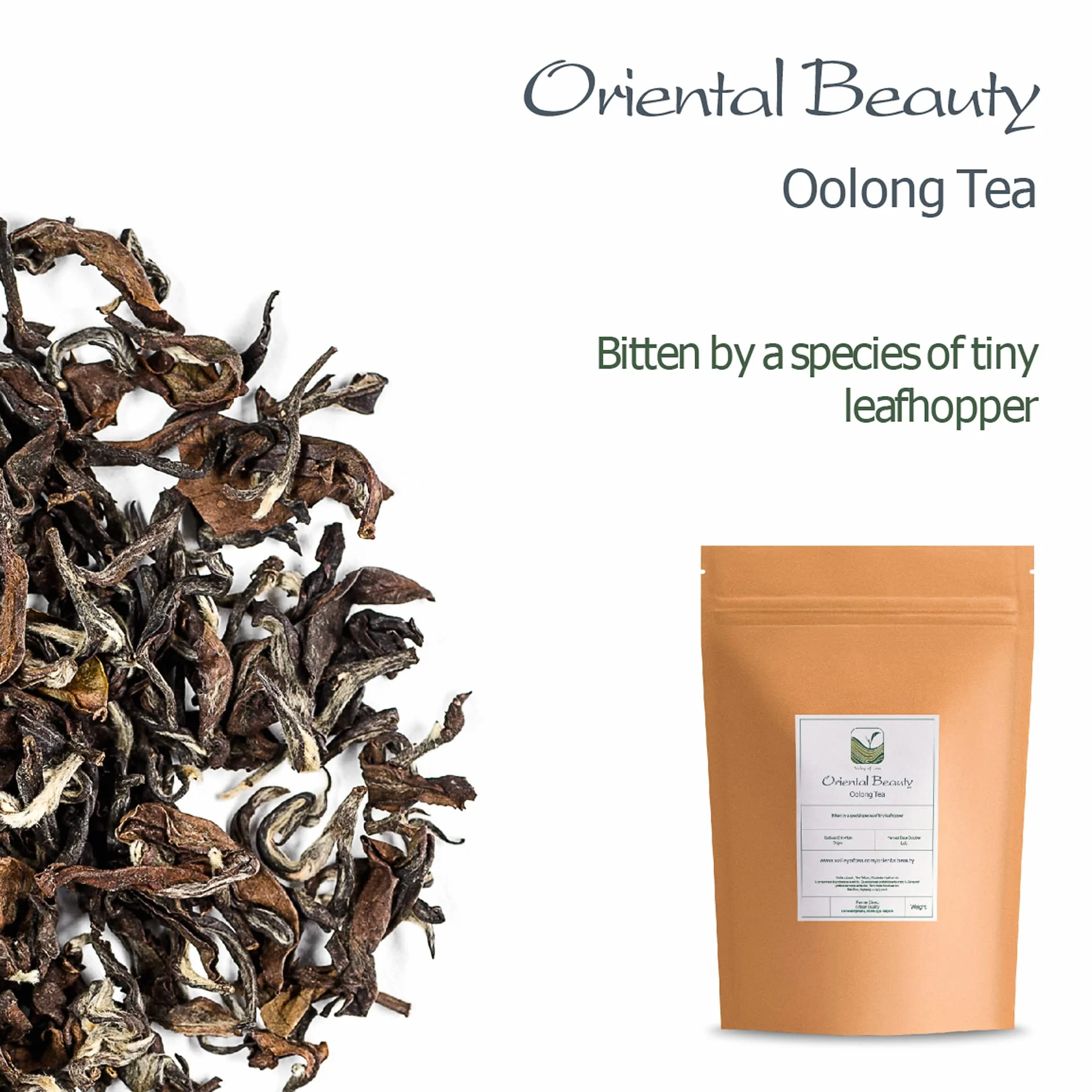 Oriental Beauty Taiwan Oolong Tea Dongfang Meiren White Tip Oolong 50g