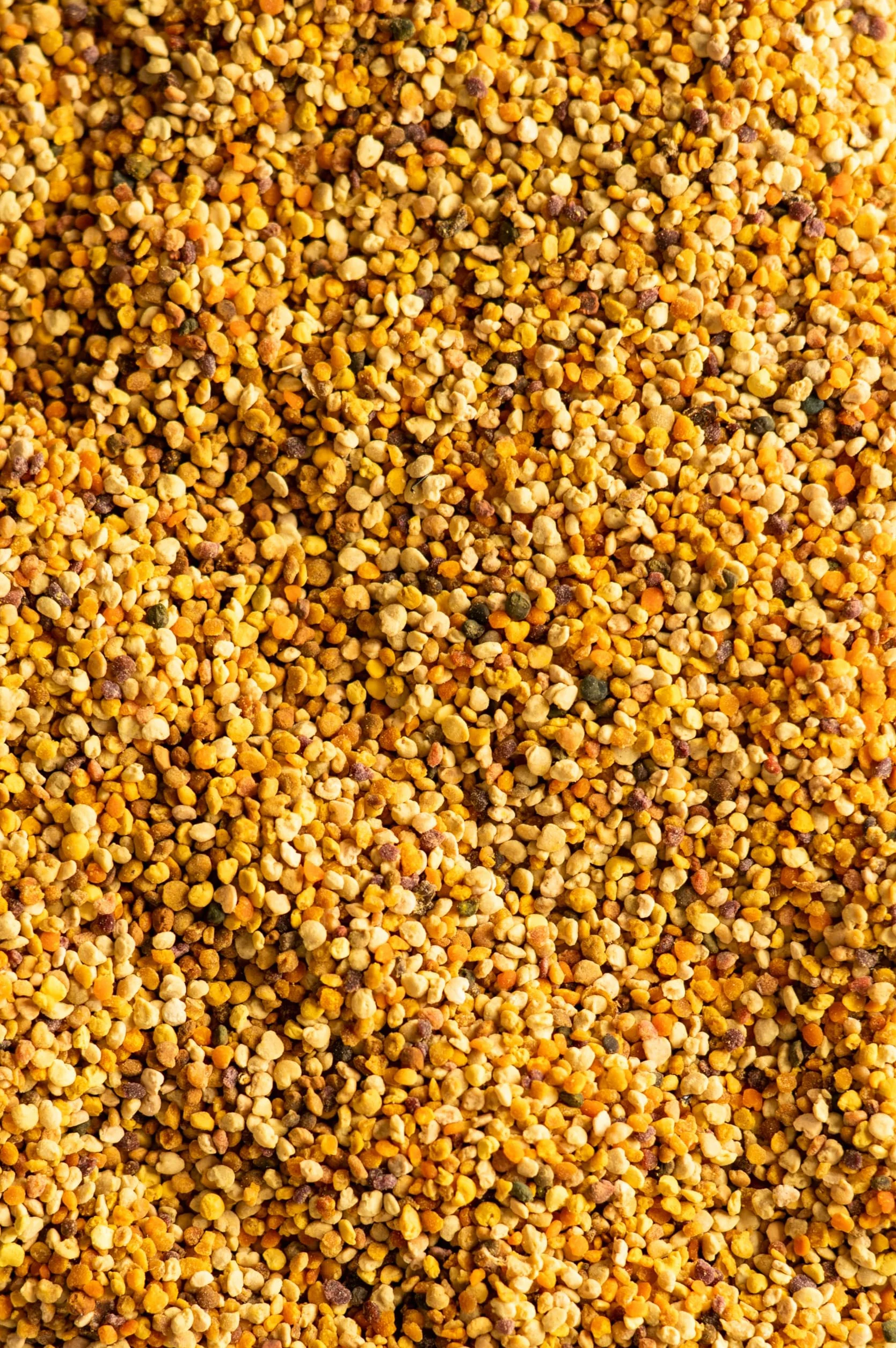 Biojoy Ekologiczny Pyłek pszczeli 500 g granulat pyłku kwiatowego naturalny