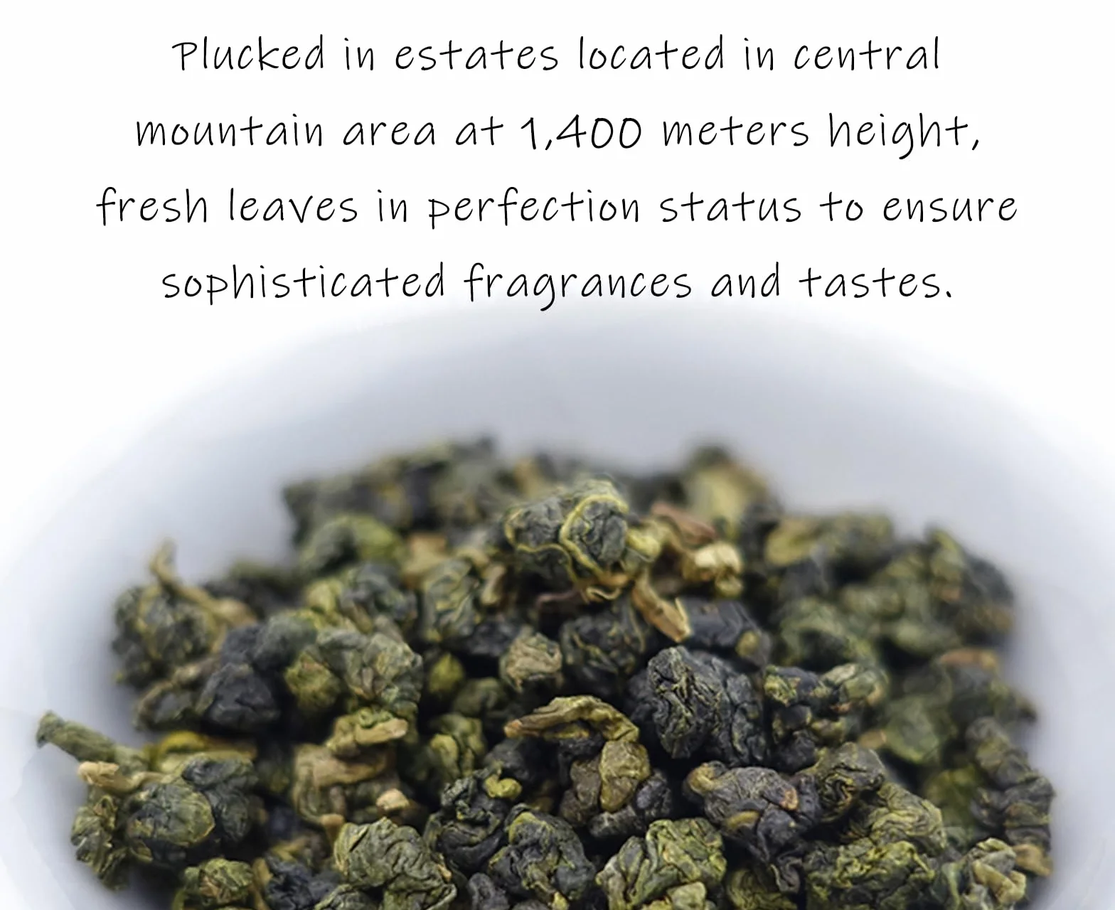 Trilliant Fomsa Tea High Mountain ChinShin oolong herbata Formosa liściasta tajwańska 113 g