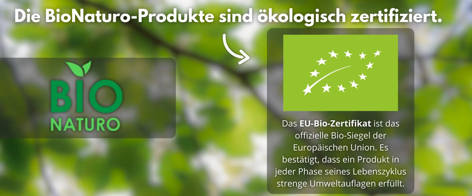 BIONATURO 2x Organiczny ocet jabłkowy 6% 500ml - Ocet z ekologicznych Jabłek - Naturalnie mętny - Niefiltrowany, bogaty w składniki odżywcze - do gotowania, diety i zdrowia - Ocet wegański