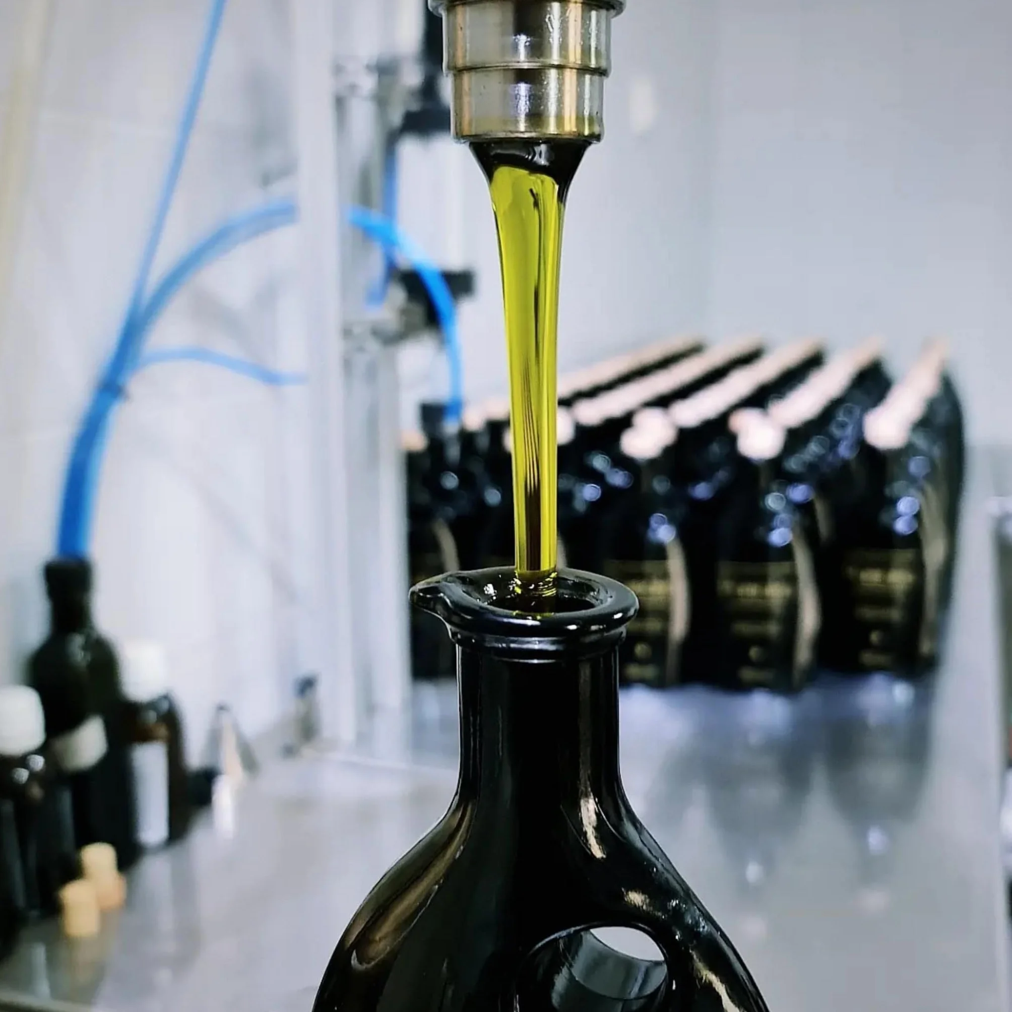 Pamako Monovarietal Tsounati 500ml BIO Oliwa z Oliwek Extra Virgin Wysokopolifenolowa 2081 mg/kg Tłoczona na Zimno Kreta Grecja
