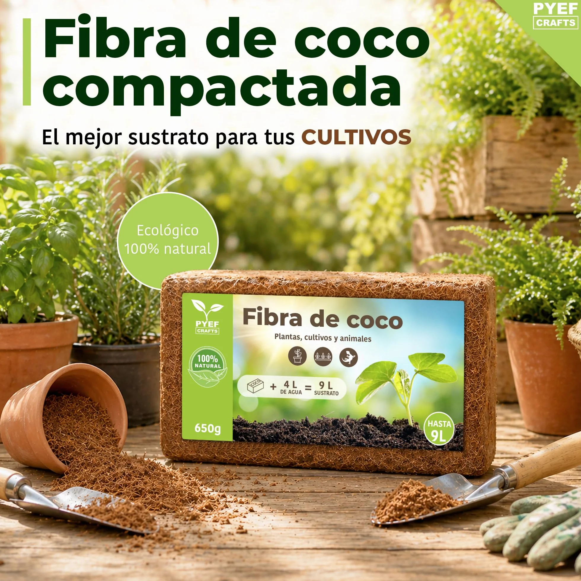 Ladrillo Fibre de Coco 650g