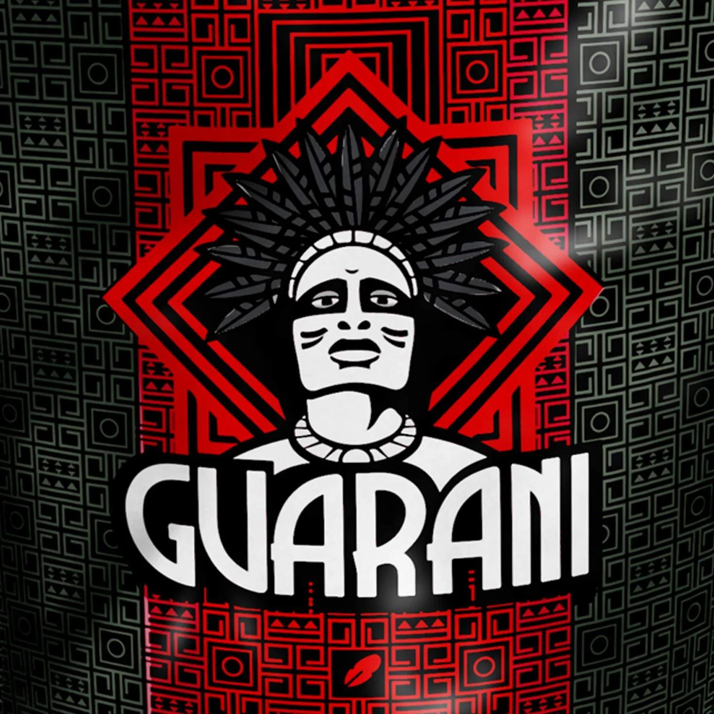 Yerba Mate Guarani Energia con Guarana 500 g