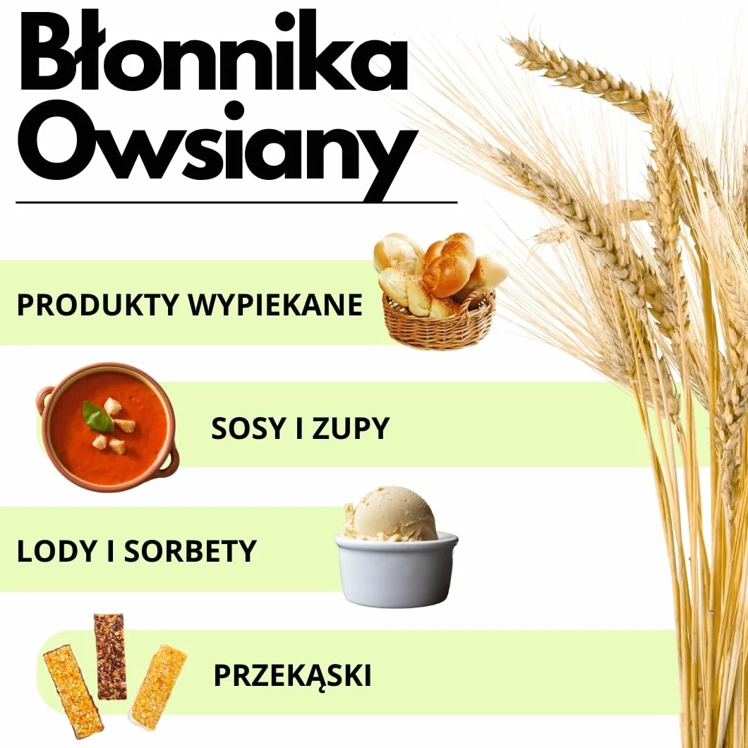 SaporePuro Błonnik Owsiany w proszku - 500 gr - Bezglutenowy - Naturalne źródło błonnika