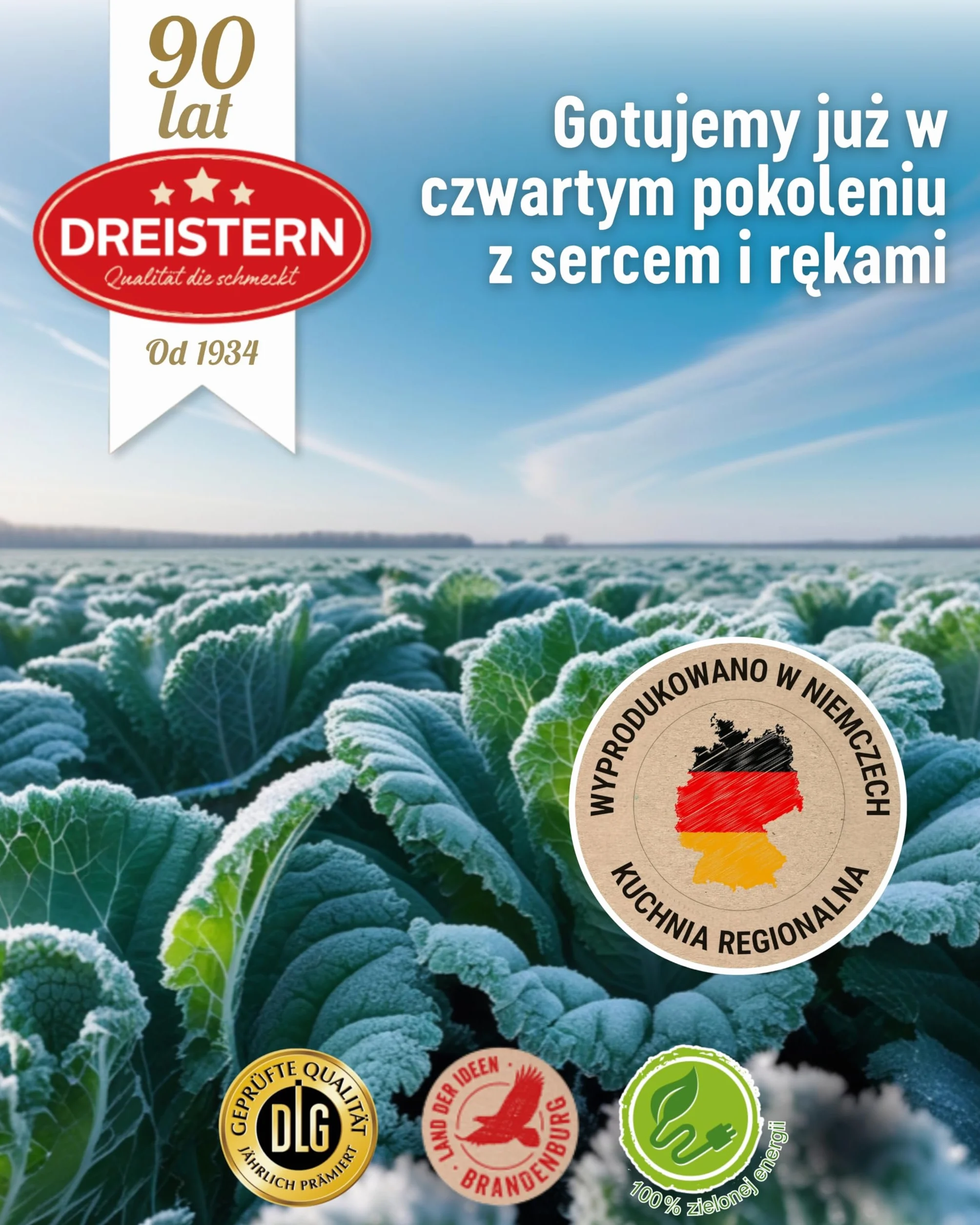 DREISTERN Gulasz wołowy z obfitym sosem | danie gotowe | pyszny gulasz w blaszanym pudełku nadającym się do recyklingu | delikatna wołowina - jakość, która dobrze smakuje