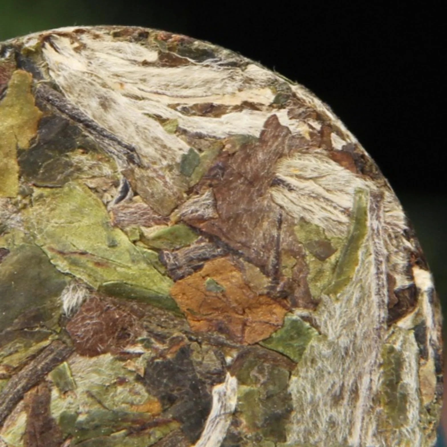BaiMudan Starożytne Drzewo Biała Herbata 500g Naturalnie Słodka