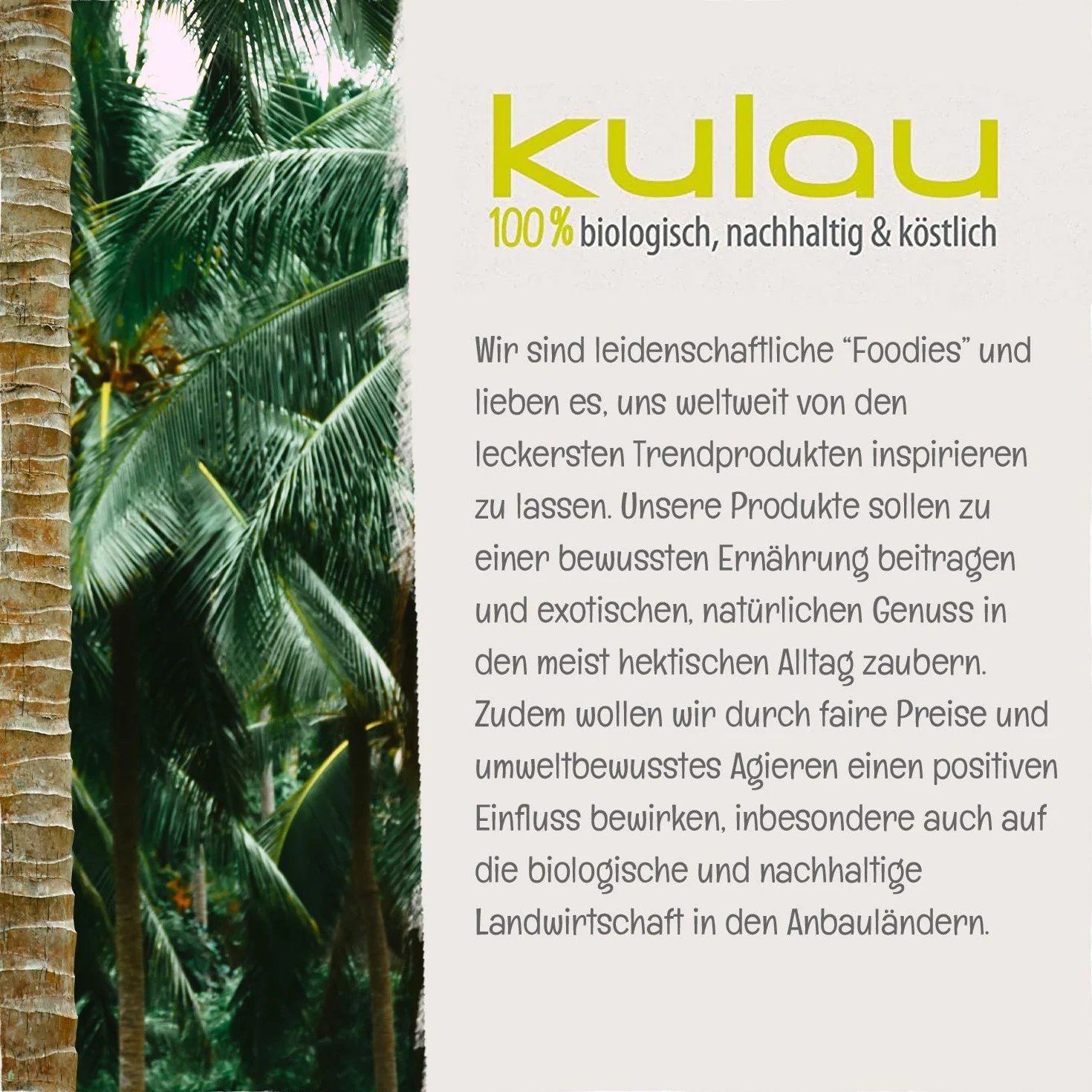 Kulau Bio Nori przekąska ostra z prażonych liści Nori 8 x 4 g