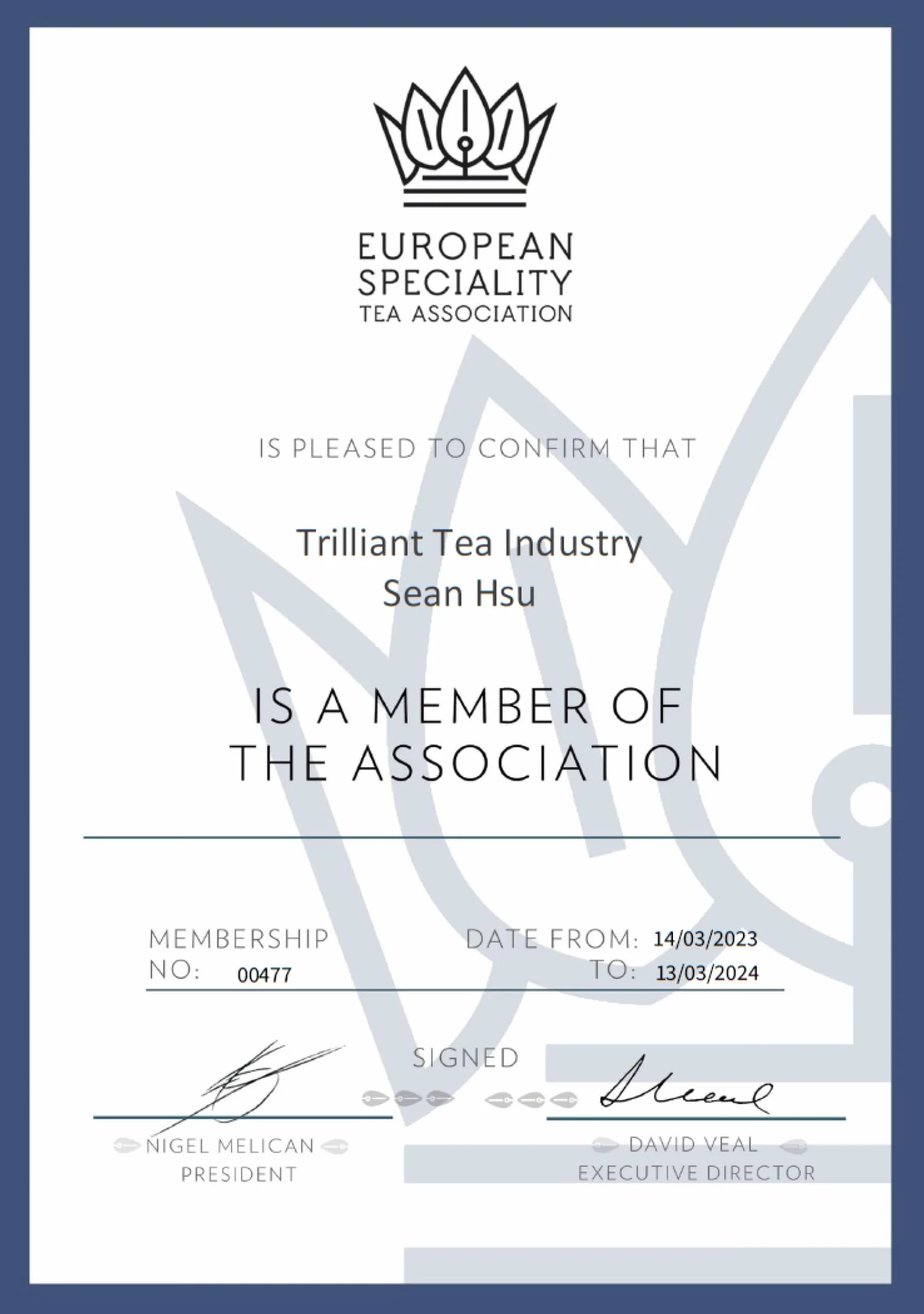 Trilliant Fomsa Tea High Mountain ChinShin oolong herbata Formosa liściasta tajwańska 113 g