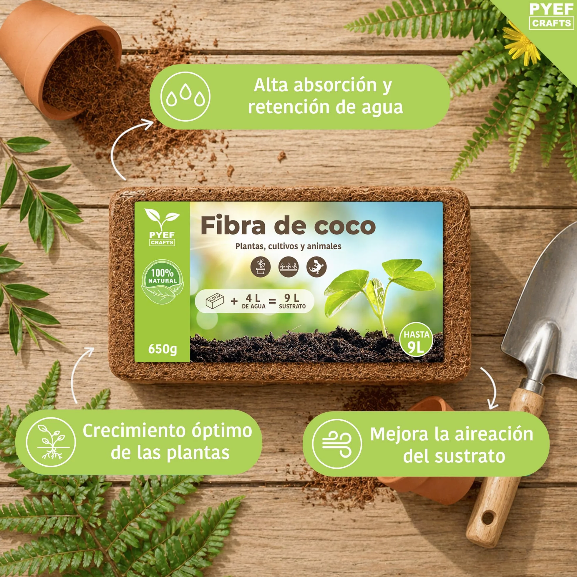 Ladrillo Fibre de Coco 650g