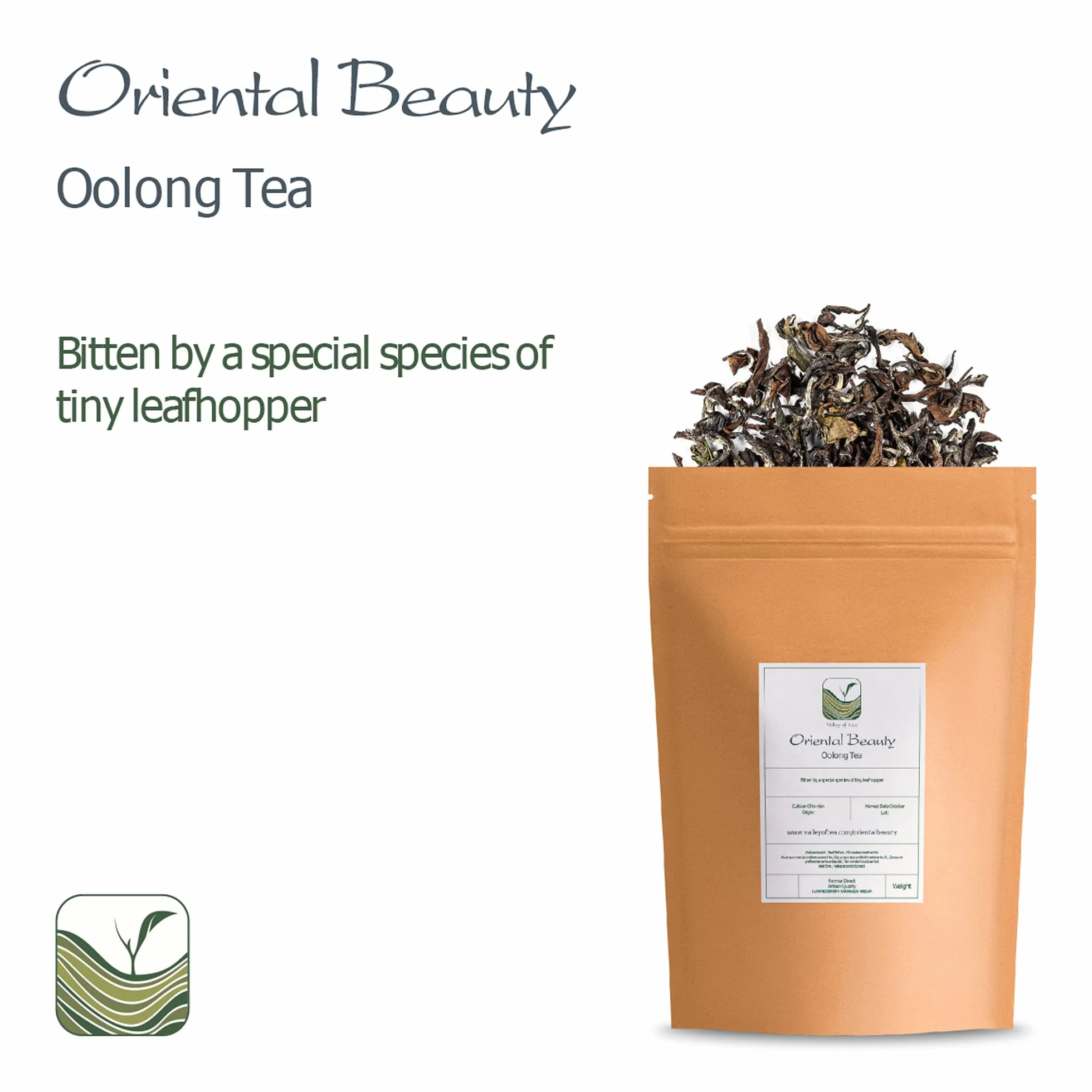 Oriental Beauty Taiwan Oolong Tea Dongfang Meiren White Tip Oolong 50g