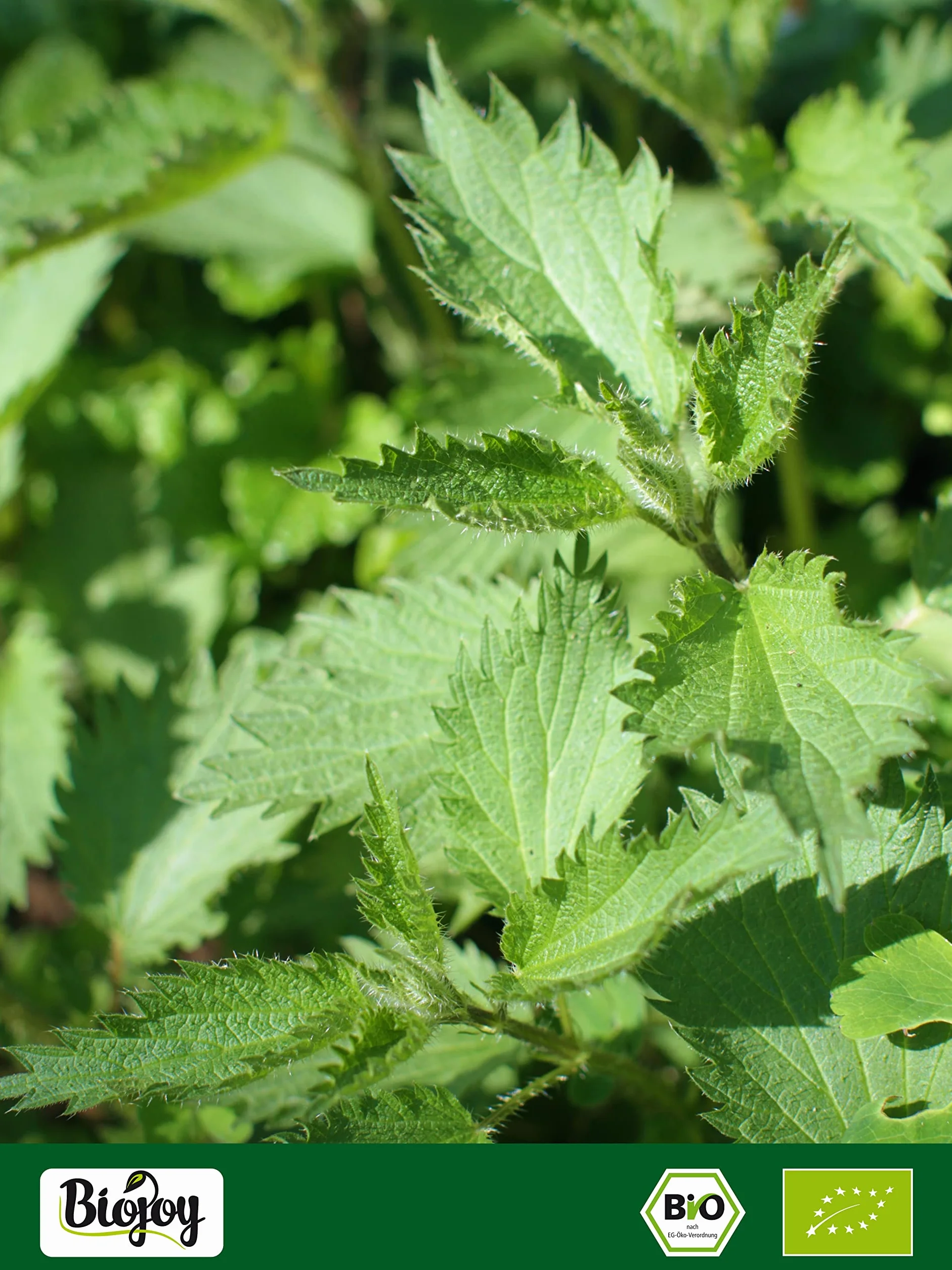 Biojoy BIO-Liście Pokrzywy (250 g), suszony i posiekane, herbata z pokrzywem, bez dodatków (Urtica dioica)