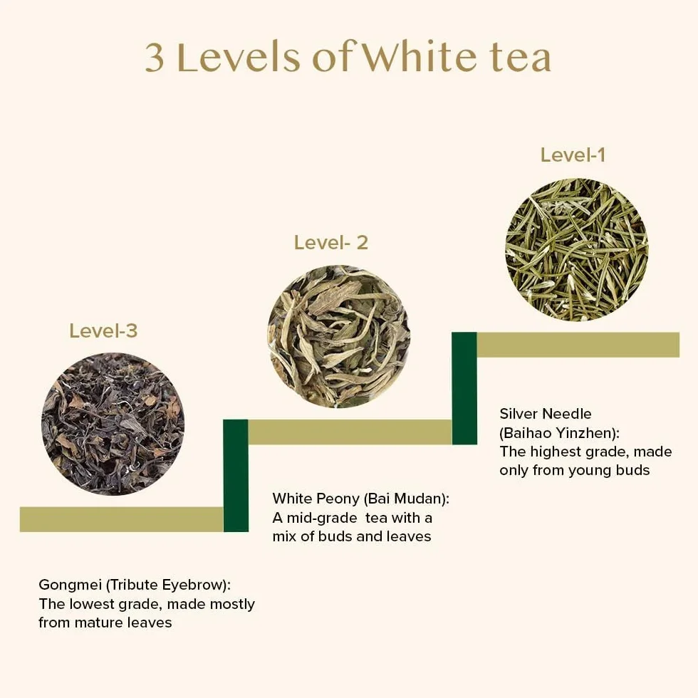 VAHDAM Silver Needle lisci bialej herbaty Loose (25 Cups) | Najzdrowsze herbaty, 100% Natural White Tea Leaves | Potezne antyutleniacze, kofeina Darmowe | Brew jak goraca herbata, Iced Tea lub herbata Kombucha | 50gm