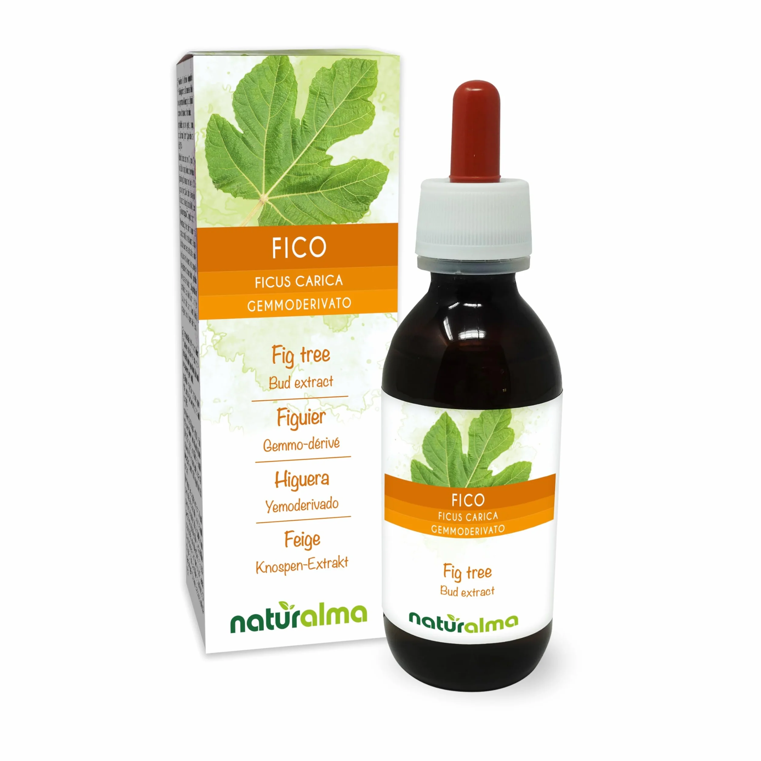 Figowiec pospolity (Ficus carica) Bezalkoholowy ekstrakt ze świeżych pączków Naturalma - Płynny ekstrakt w kroplach 120 ml - Suplement diety - Wegański
