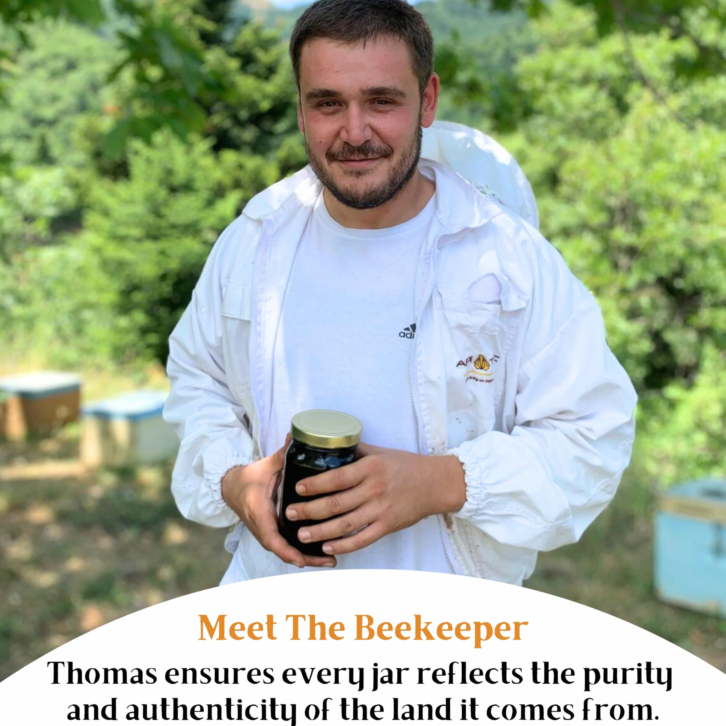 Thomas' Artisan Surowy grecki miód sosnowy, 490 g - antybakteryjny miód, gruby i niepasteryzowany, tłoczony na zimno, antybakteryjny, pojedyncze pochodzenie - The Raw Honey Shop