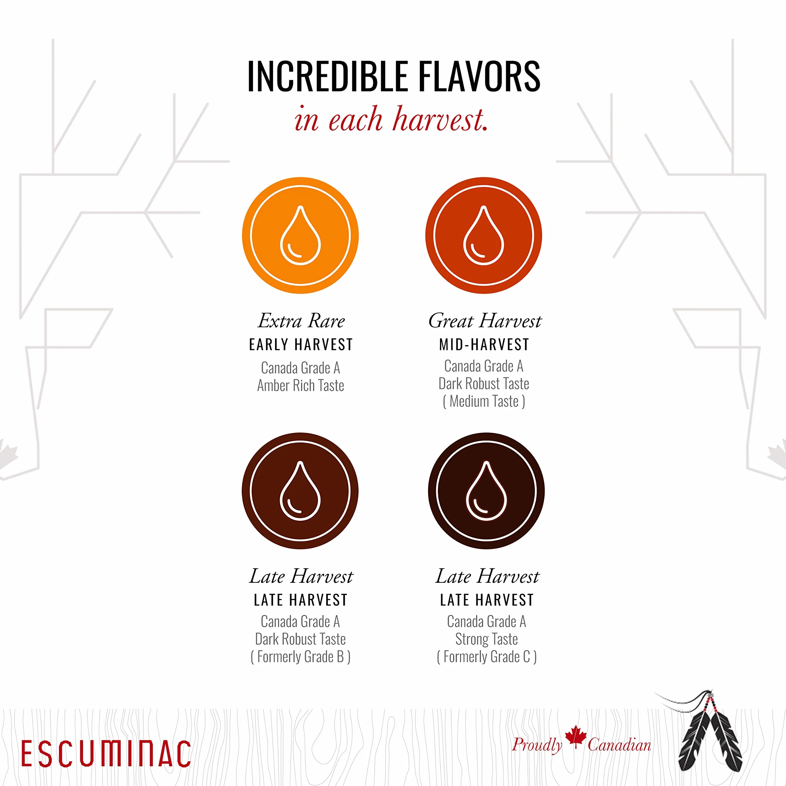 Sirop d'érable canadien très foncé Escuminac 1 L Grade A Strong Taste Pur Biologique