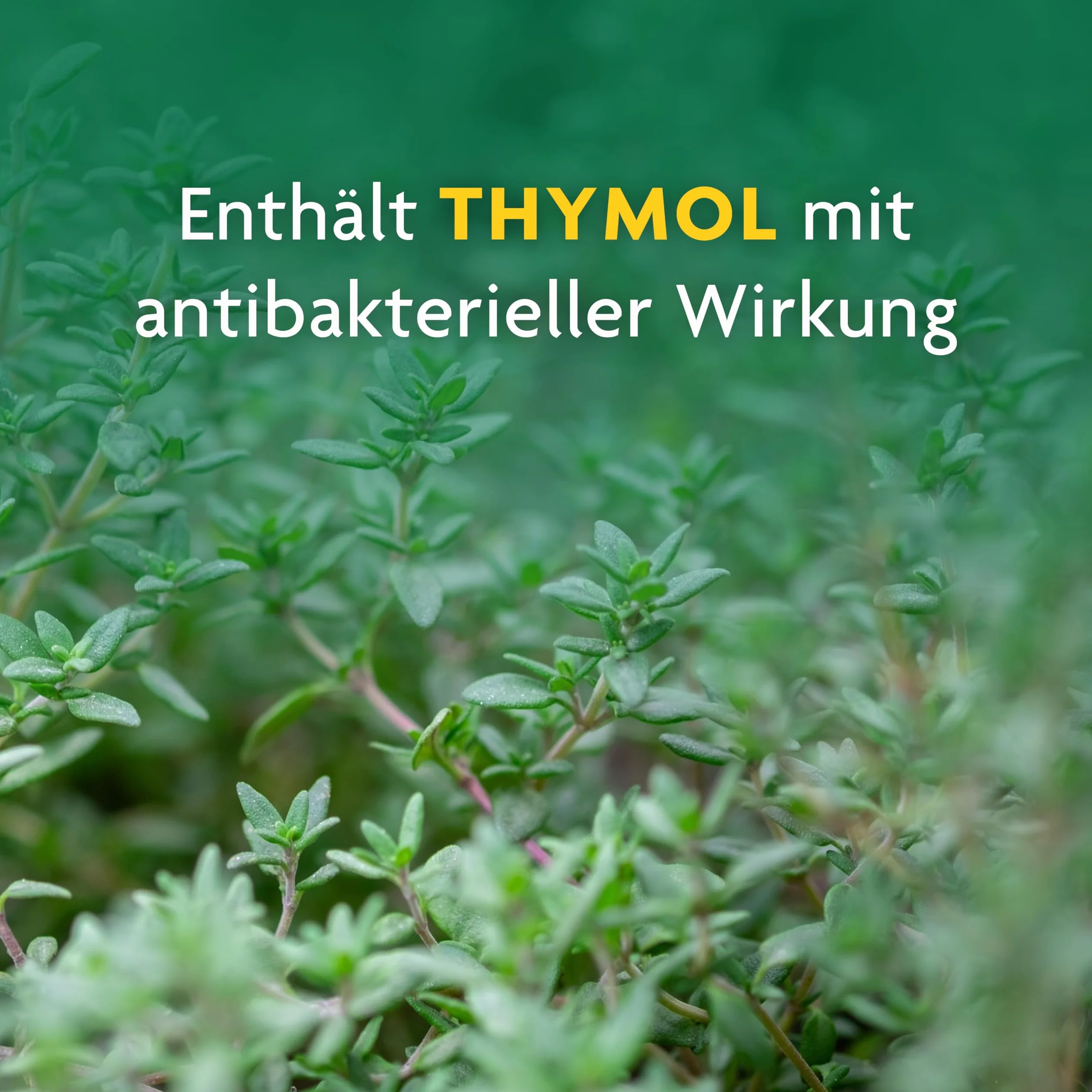Schoenenberger Sok tymiankowy naturalny 200 ml