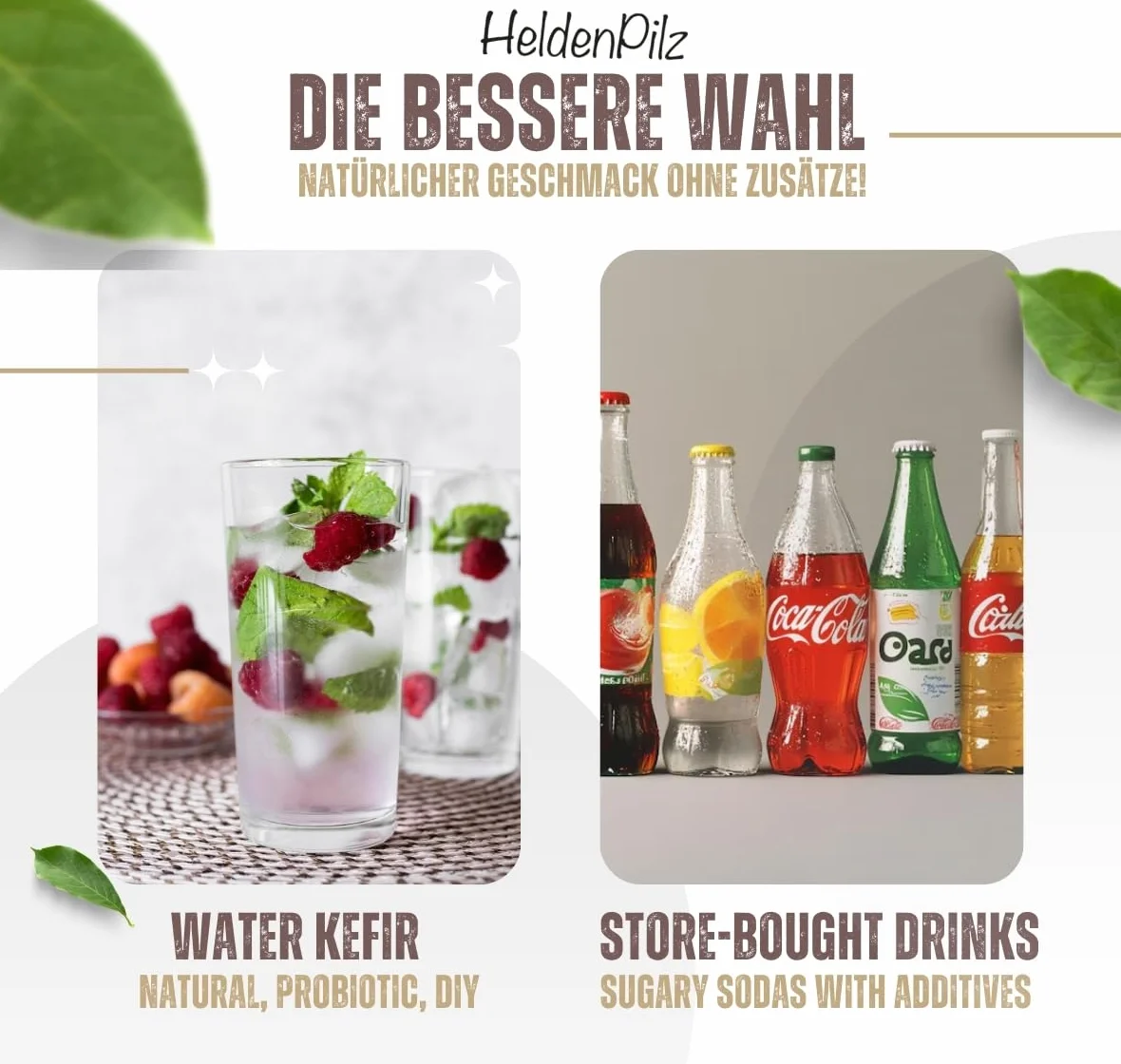 HeldenPilz zestaw startowy organicznego kefiru wodnego 30 g