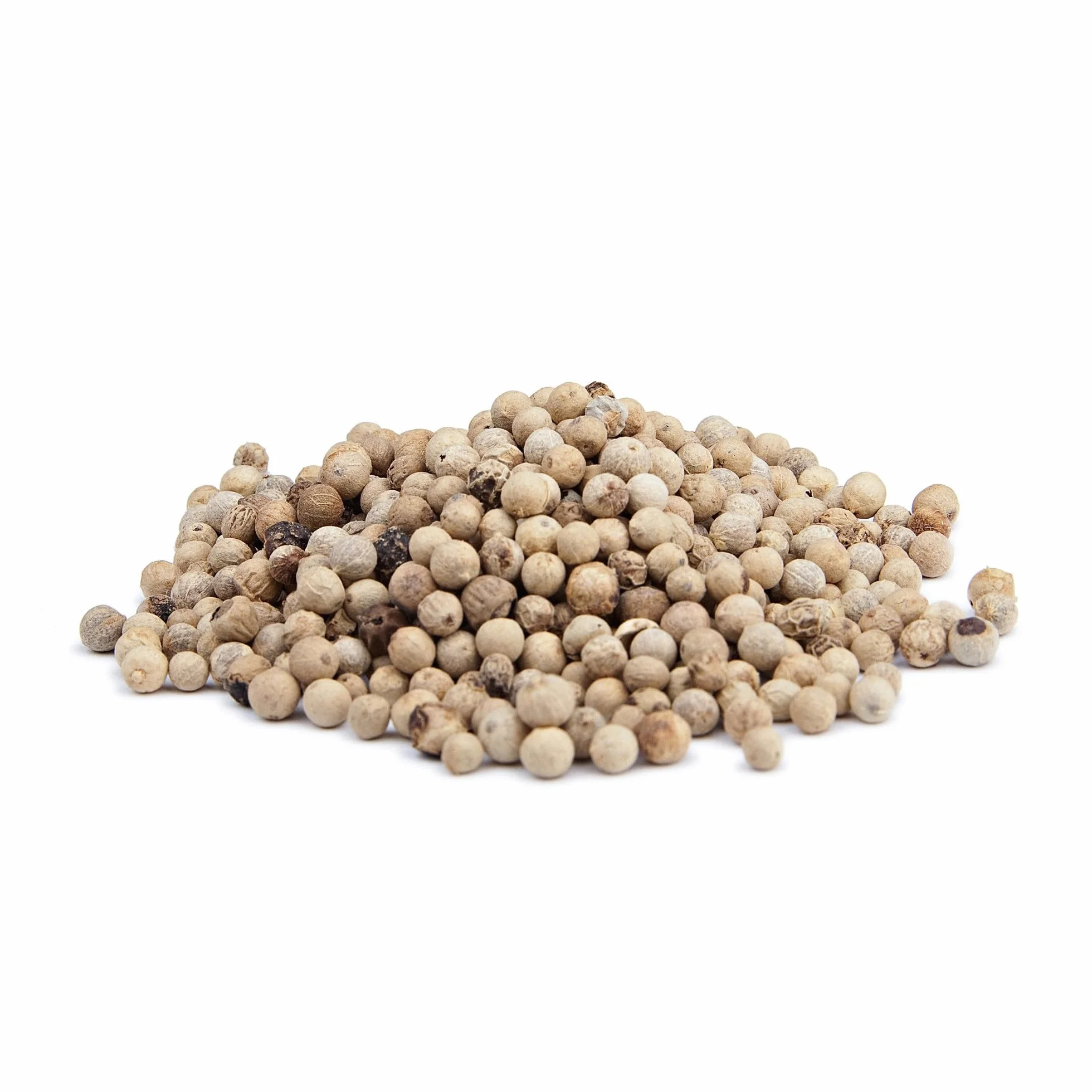 Spicy Welt Pieprz Biały Ziarnisty (100g) – Całe Ziarna do Jasnych Sosów, Żurku, Drobiu, Ryb, Zup & Purée | Łagodny, Ziemisty, Aromatyczny | 100% Naturalny, Bez Dodatków