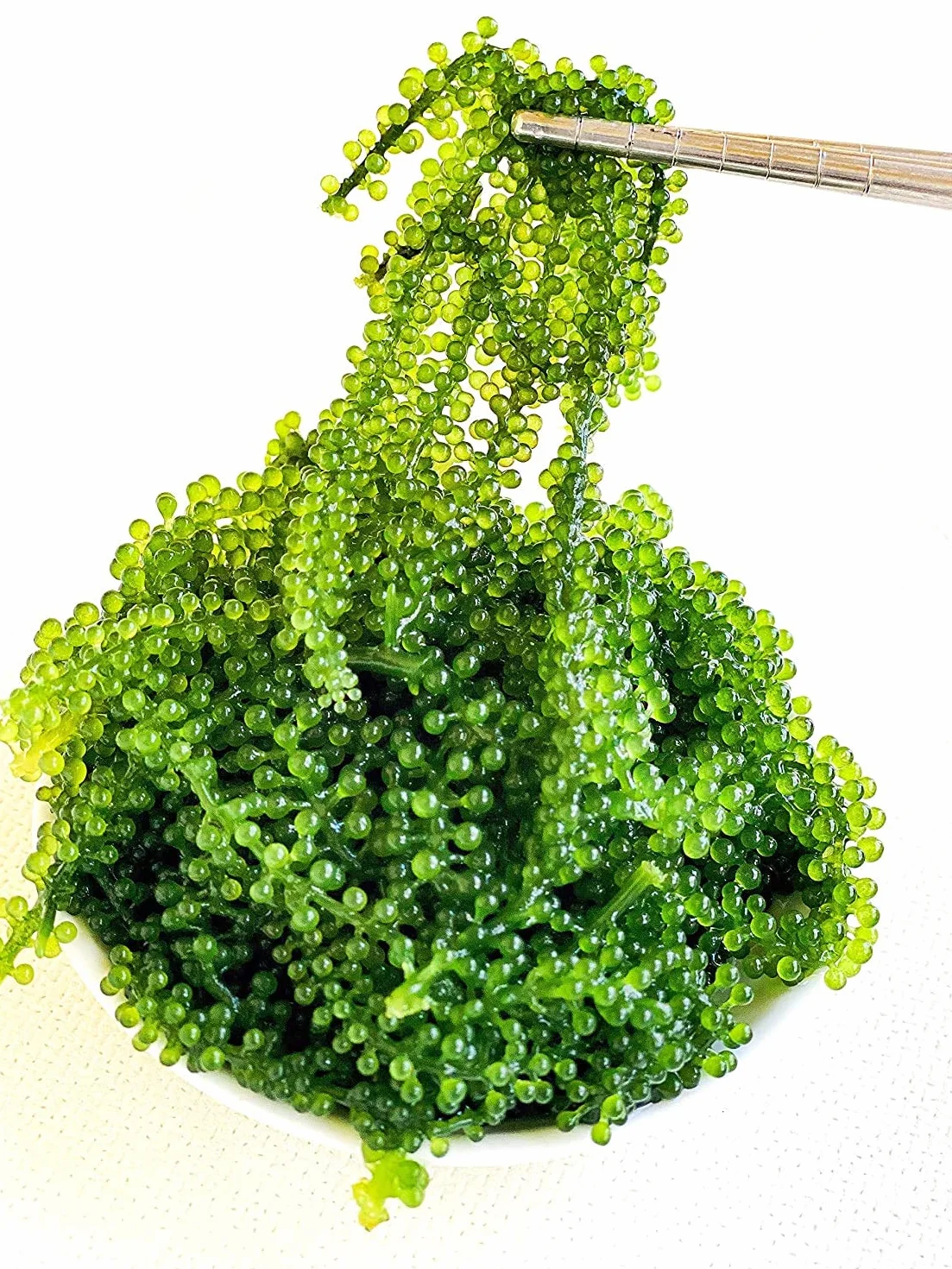 CAVUMI Sea Grapes 20 g / gąsienice morskie jako przekąska z alg / suszone algi morskie / Umibudo jako chrupiący zielony kawior