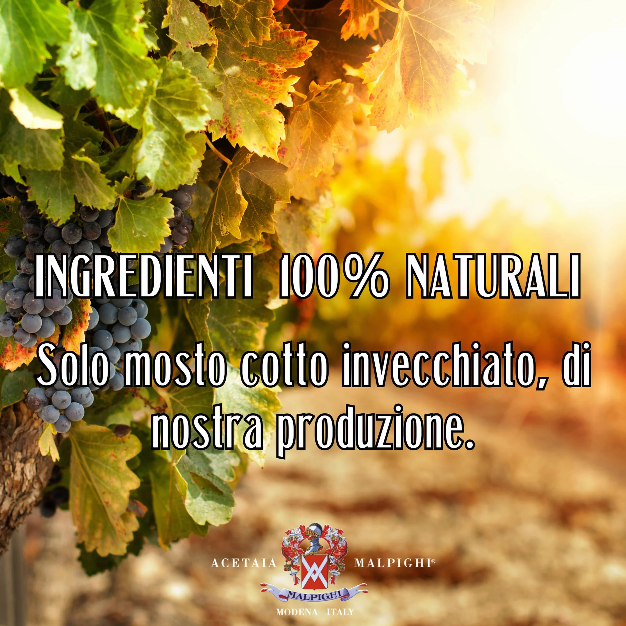 Acetaia Malpighi Tradycyjny Ocet Balsamiczny z Modeny DOP 12+ lat 100 ml