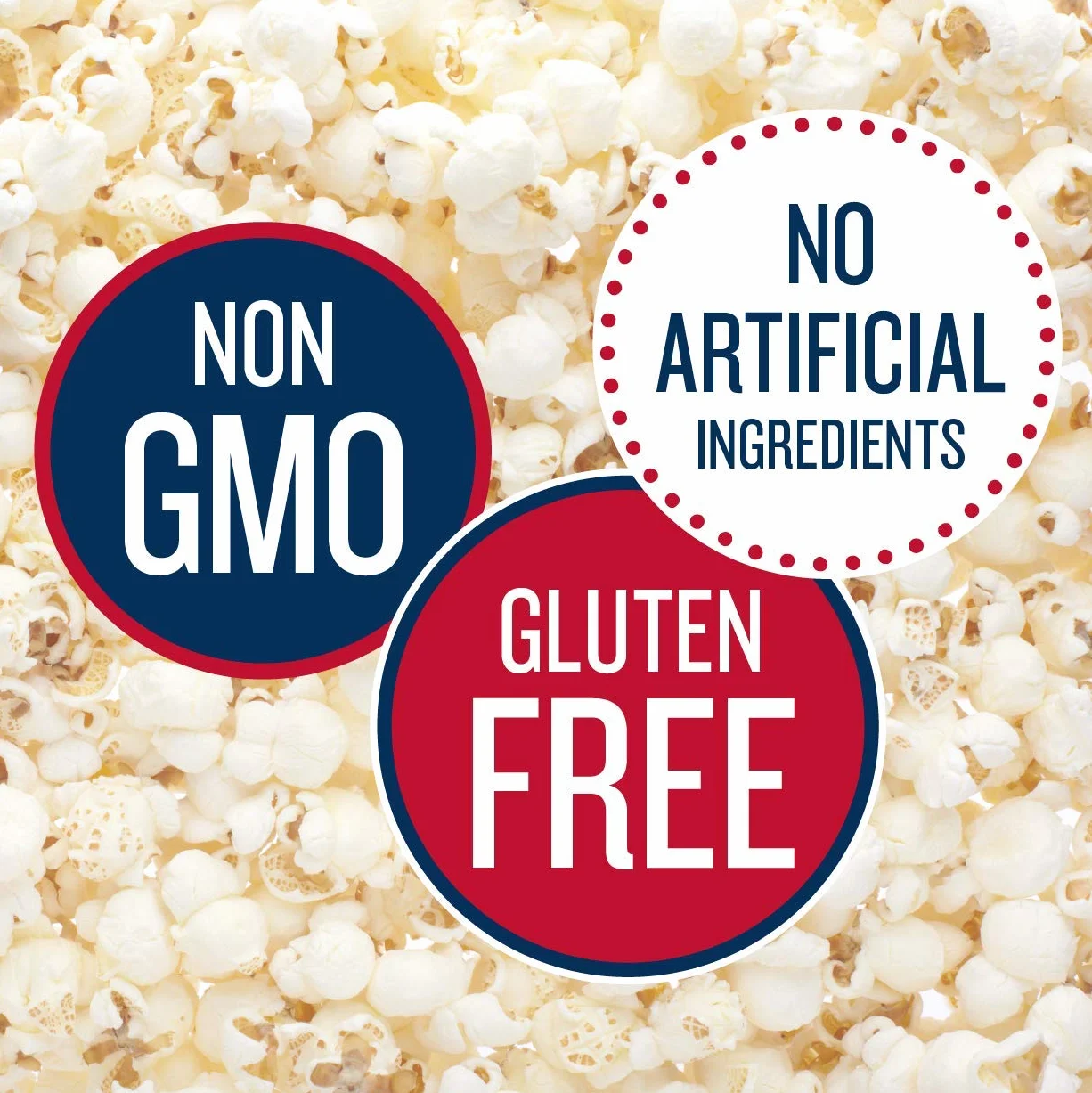 SkinnyPop Popcorn, Gluten Free, Dairy Free, Non-GMO, Healthy Snacks, Skinny Pop Original Popcorn Snack Packs, 0.65oz Individual Size Snack Bags (6 Count)