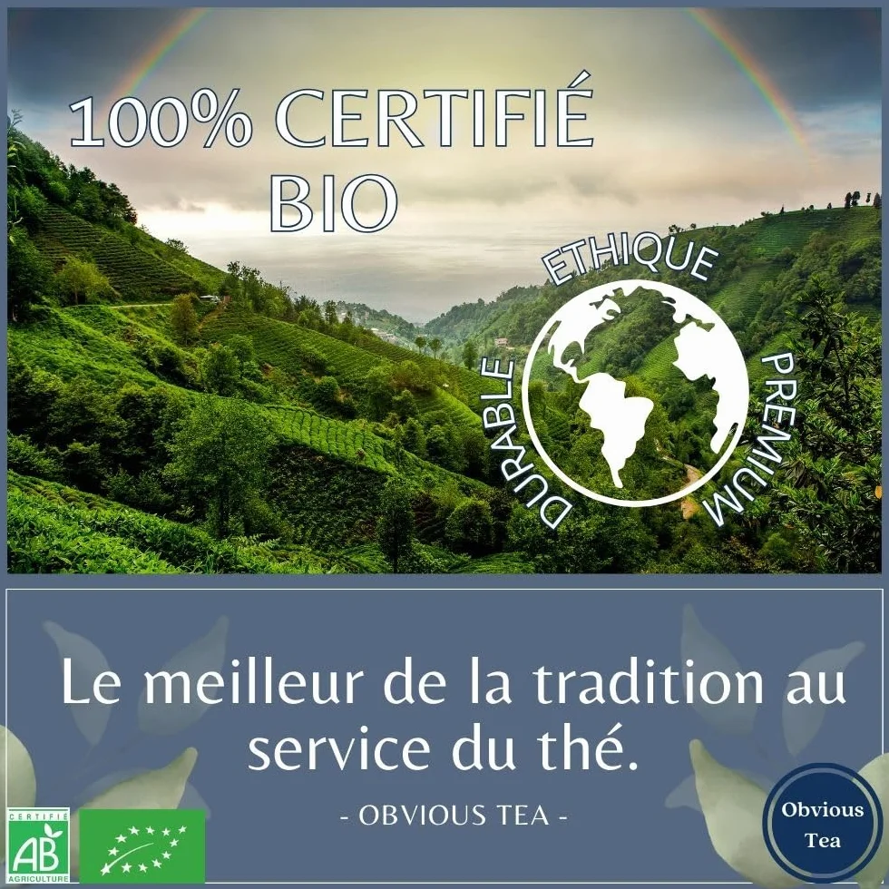 Organiczna japońska matcha sypki mielony zielony proszek herbaciany 200 g 100 filiżanek