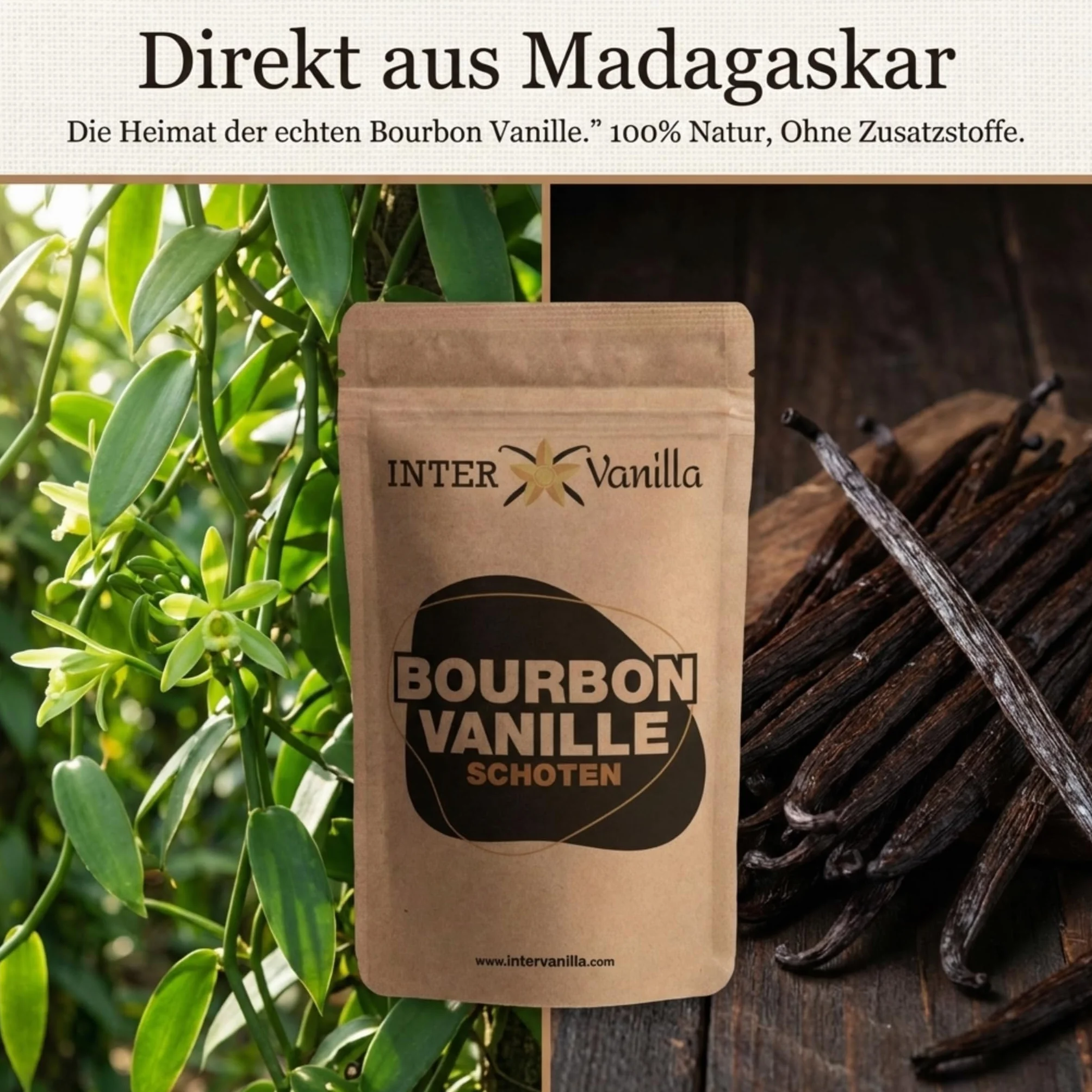 InterVanilla Bourbon laski wanilii 10 sztuk, 12-13 cm strąki wanilii w jakości premium z Madagaskaru do pieczenia, gotowania i słodkich potraw. Waniliowe kapsułki