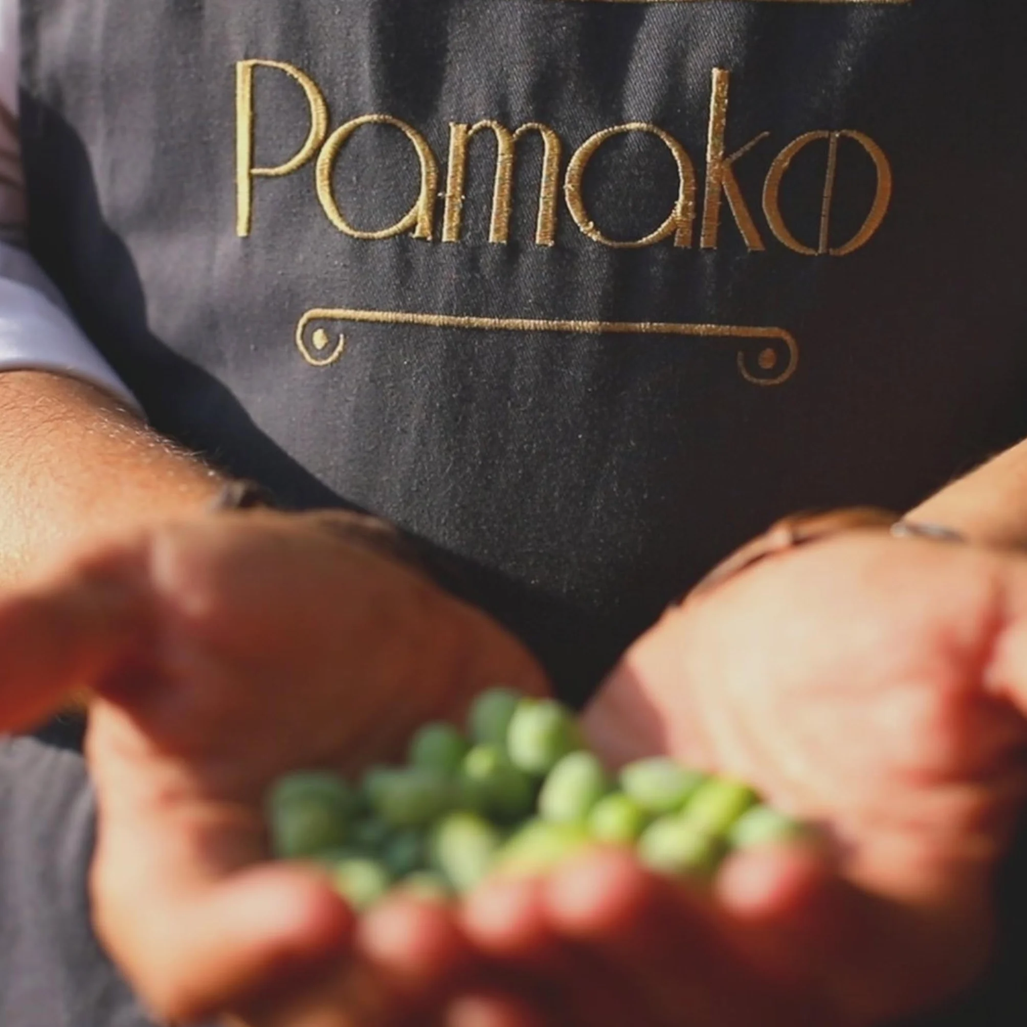 Pamako Monovarietal Tsounati 500ml BIO Oliwa z Oliwek Extra Virgin Wysokopolifenolowa 2081 mg/kg Tłoczona na Zimno Kreta Grecja