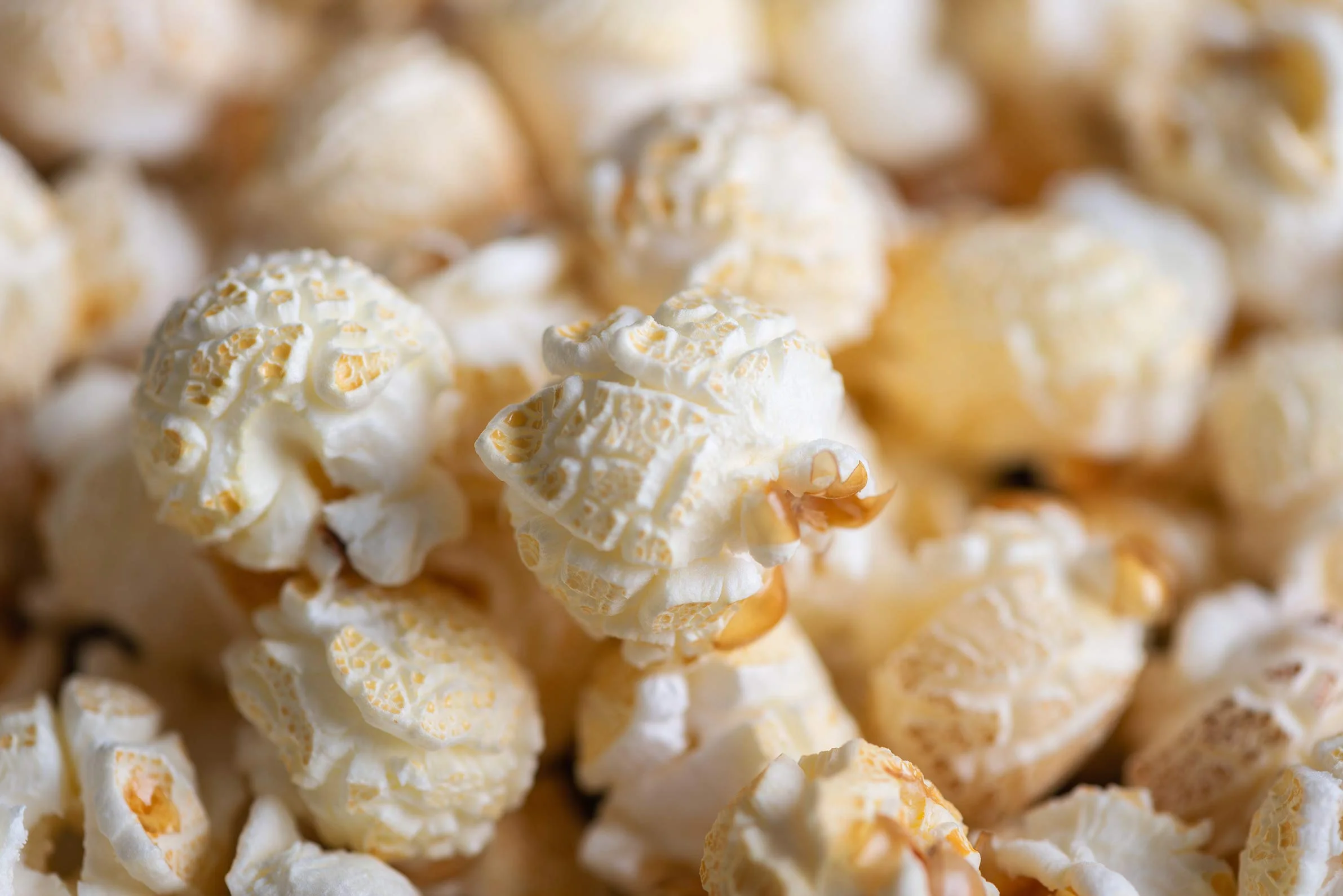Premium Mushroom Popcorn kinowy 1 kg worek XL 1:46 Premium współczynnik ekspansji w ponownie zamykanym woreczku, bez GMO