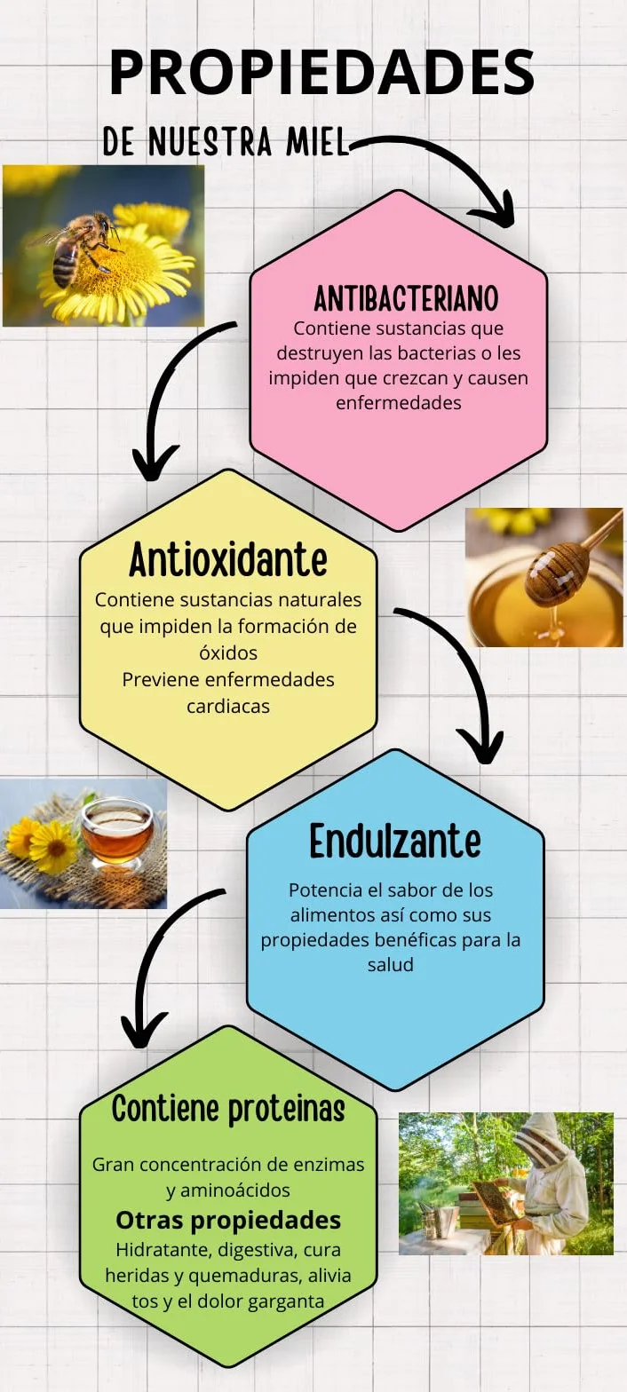 Miód pszczeli naturalny organiczny surowy niepasteryzowany 1 kg Hiszpania dzikie kwiaty